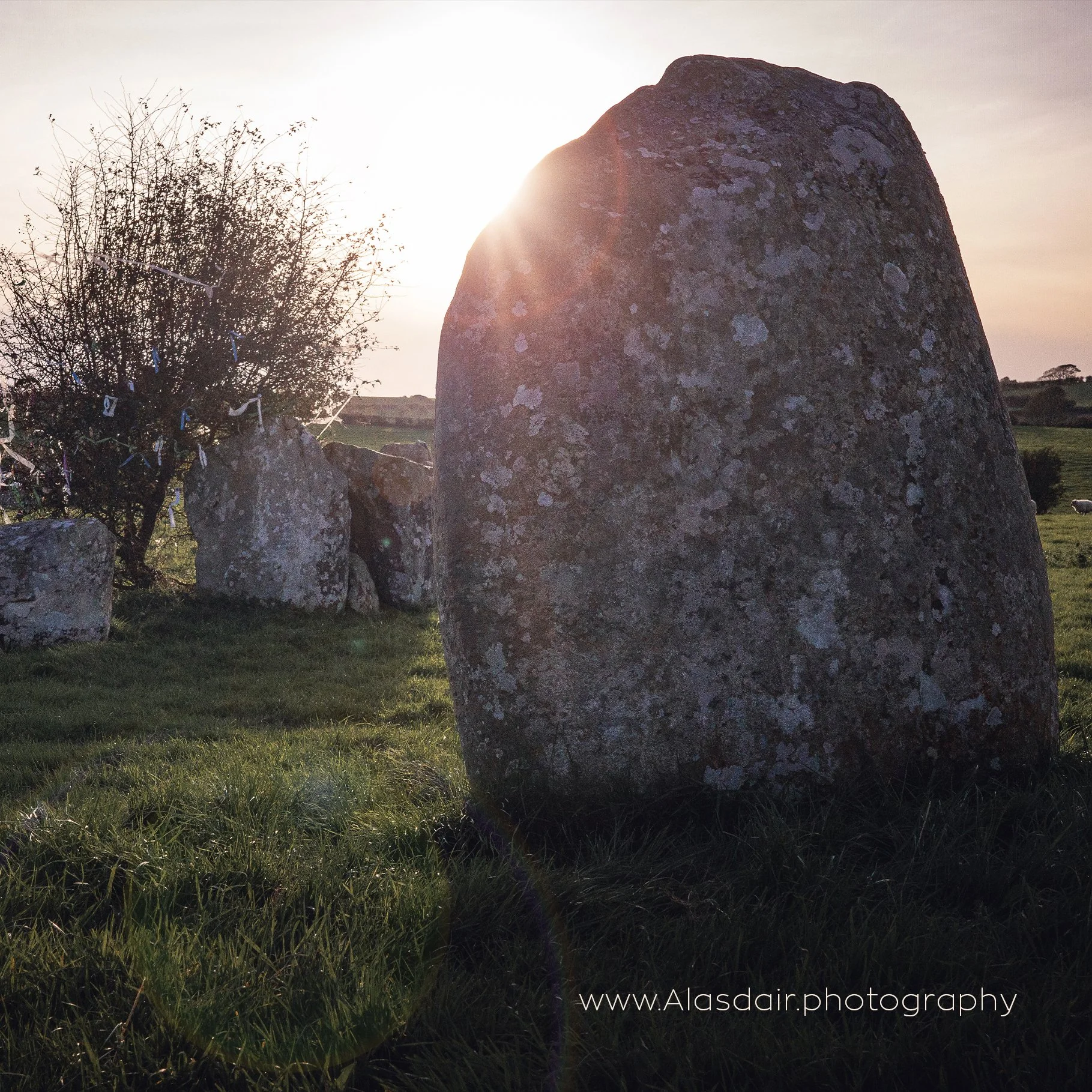 cover rear outer.jpg