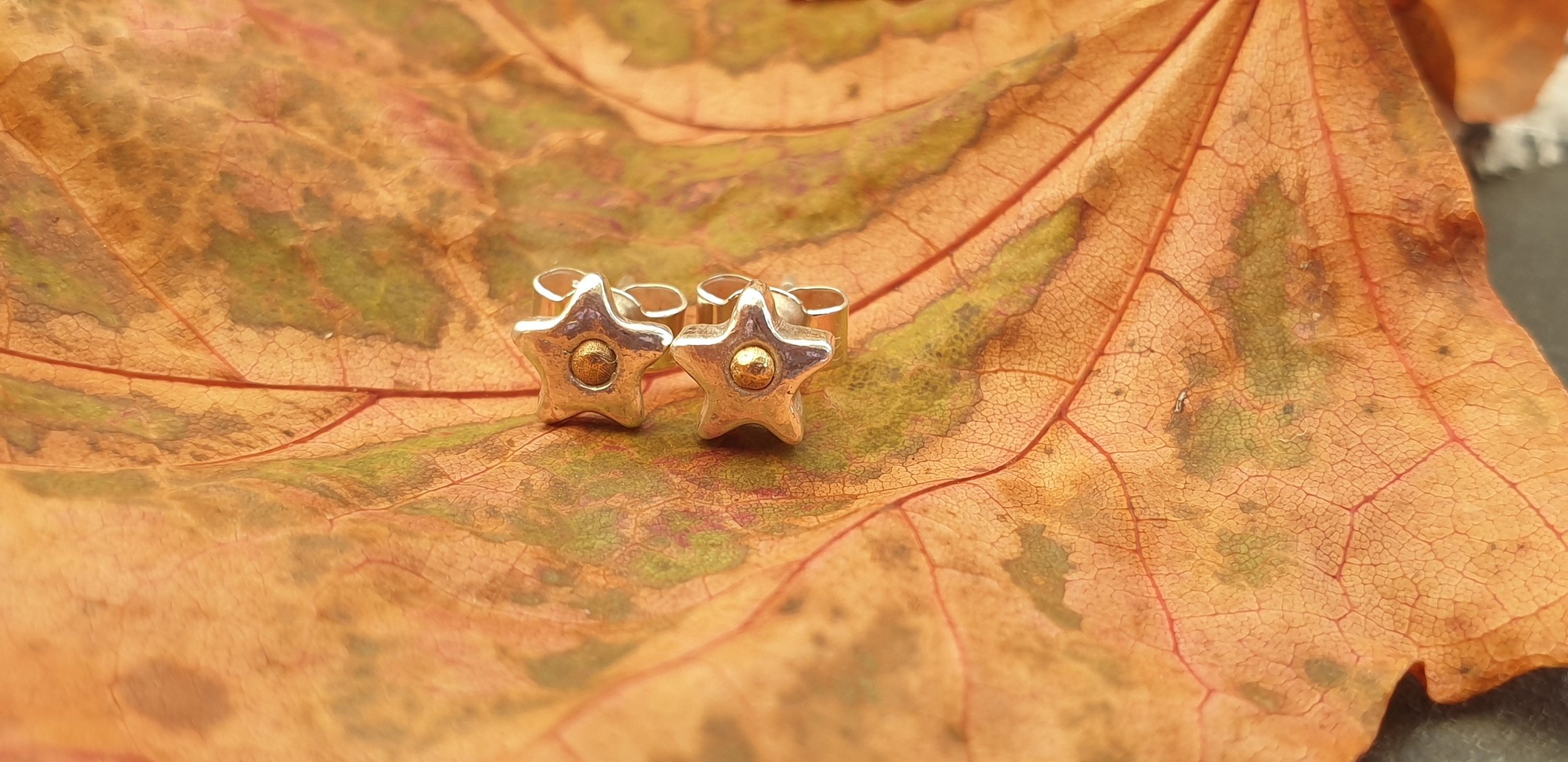 Silver and gold star stud earrings