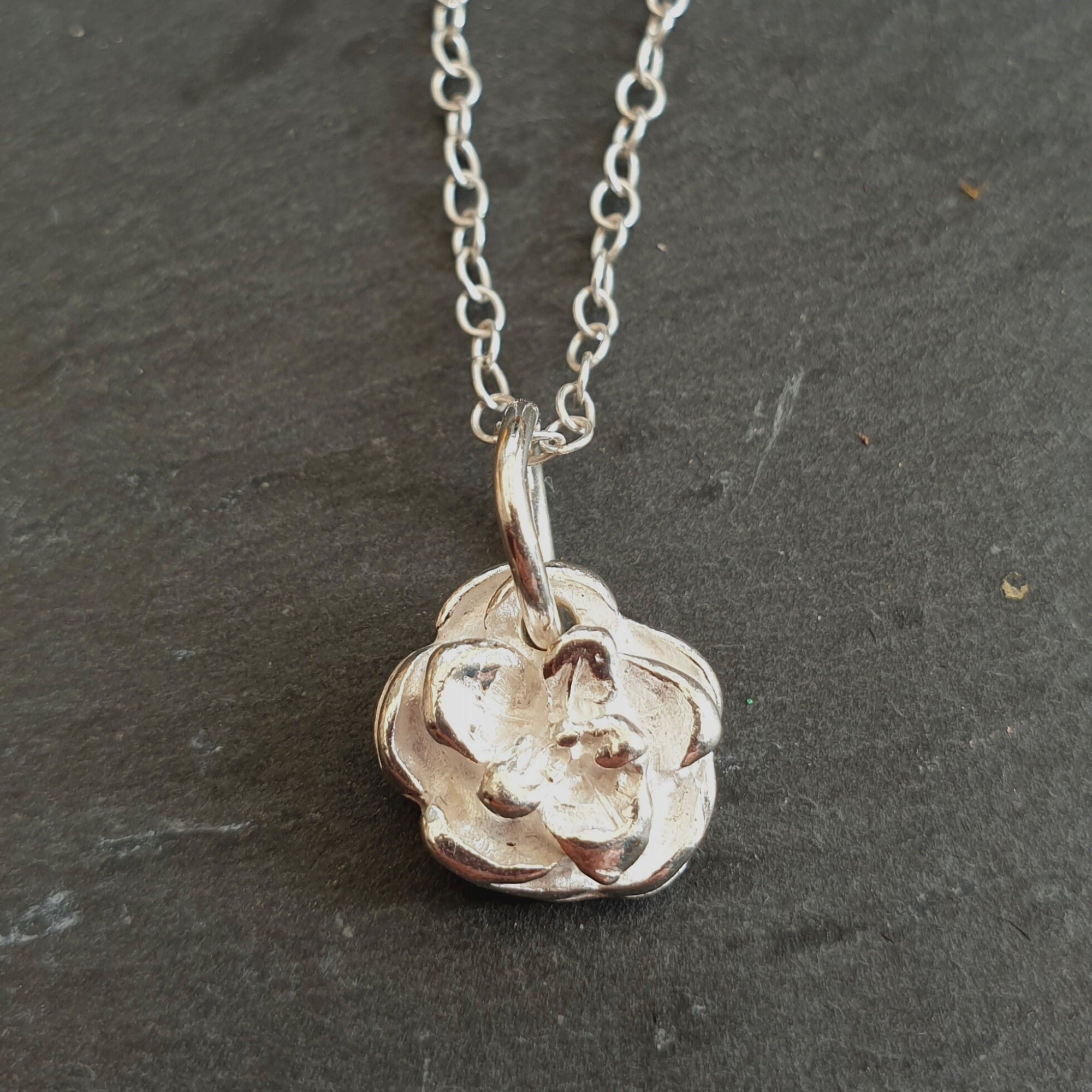 https://i.etsystatic.com/21412572/r/il/5ec134/3109163562/il_fullxfull.3109163562_tyty.jpg