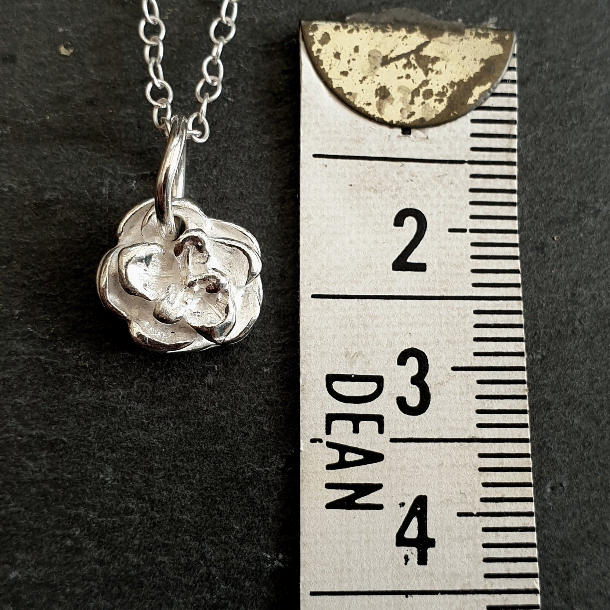 https://i.etsystatic.com/21412572/r/il/c0ab78/3109164352/il_fullxfull.3109164352_qqis.jpg