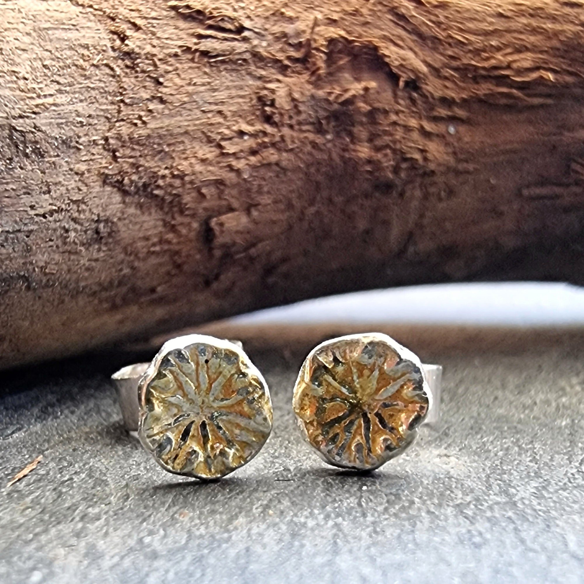 https://i.etsystatic.com/21412572/r/il/df081b/3793603974/il_fullxfull.3793603974_7sz0.jpg