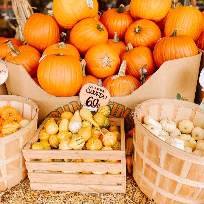 Guess what. Tomorrow is officially the FIRST Day of Fall! 🍁🍂🍂🍁
⠀⠀⠀⠀⠀⠀⠀⠀⠀
Carving pumpkins paired with some warm apple cider is on my Fall To Do List! 
⠀⠀⠀⠀⠀⠀⠀⠀⠀
But let&rsquo;s be honest, keeping those pumpkins in good shape until Halloween is a 