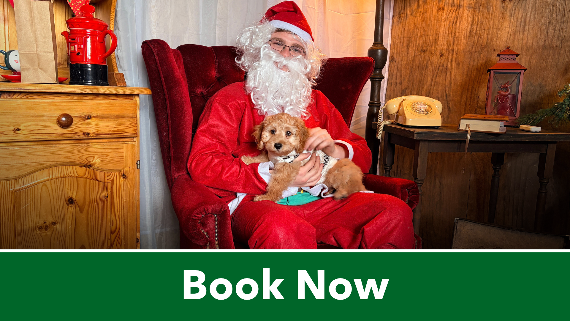 Santa Paws!