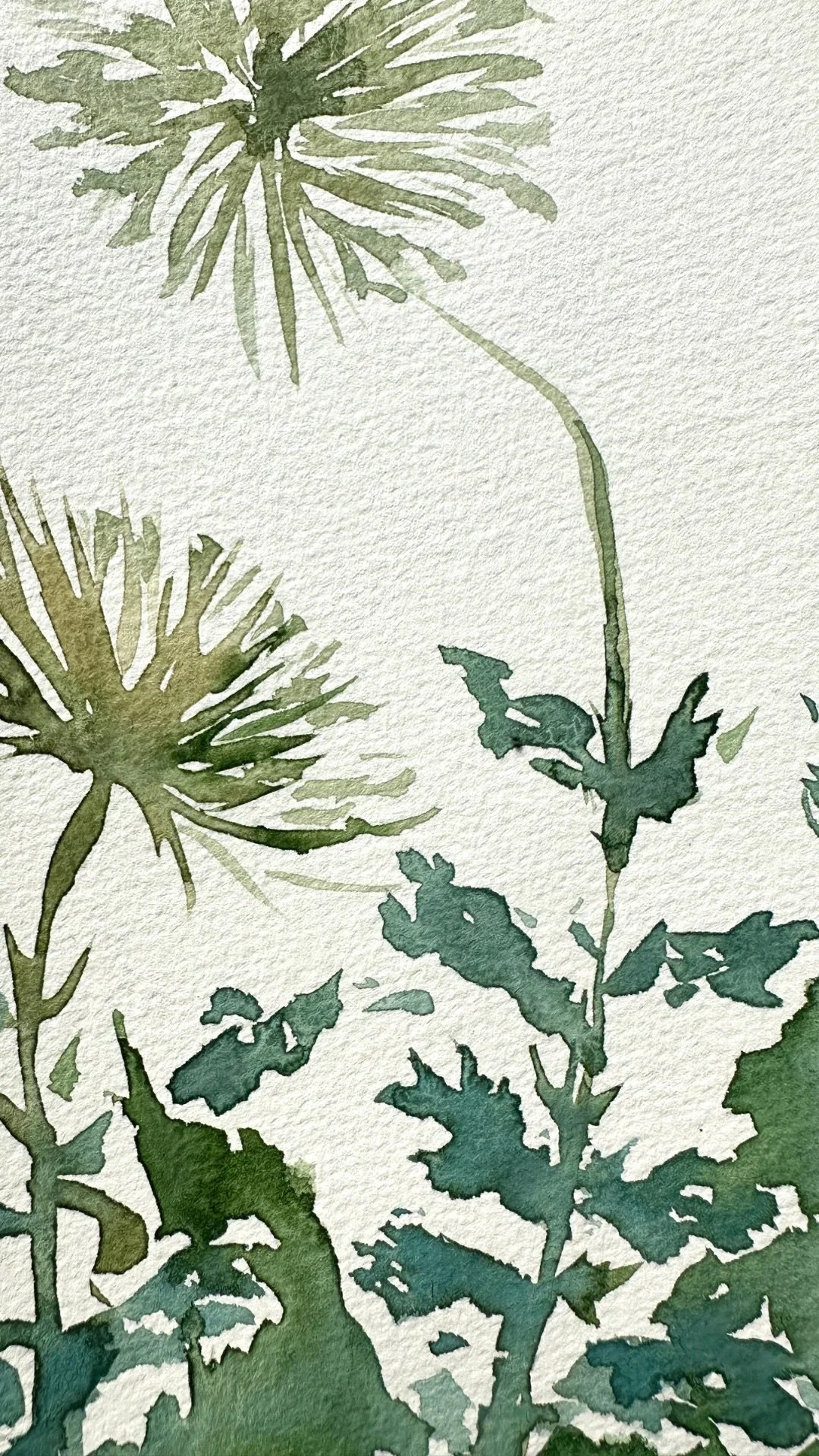 Untitled design 6.JPG