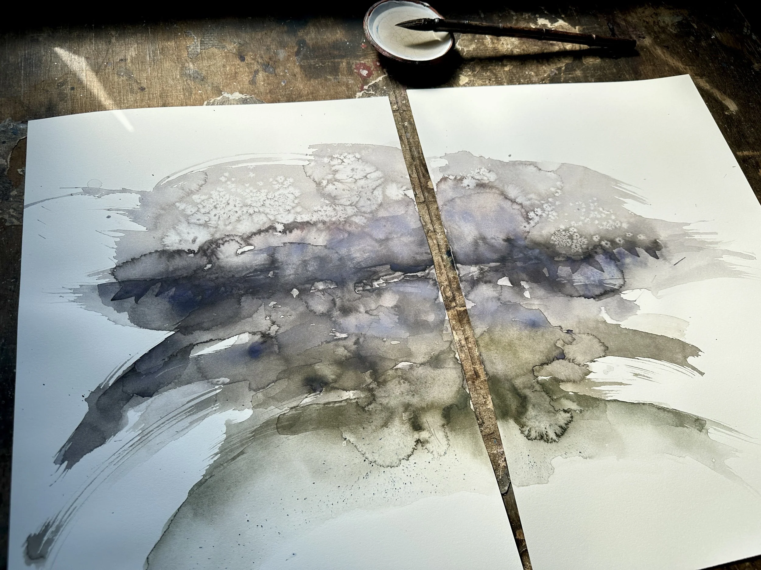 /Large Storm Clouds Study/ Diptych