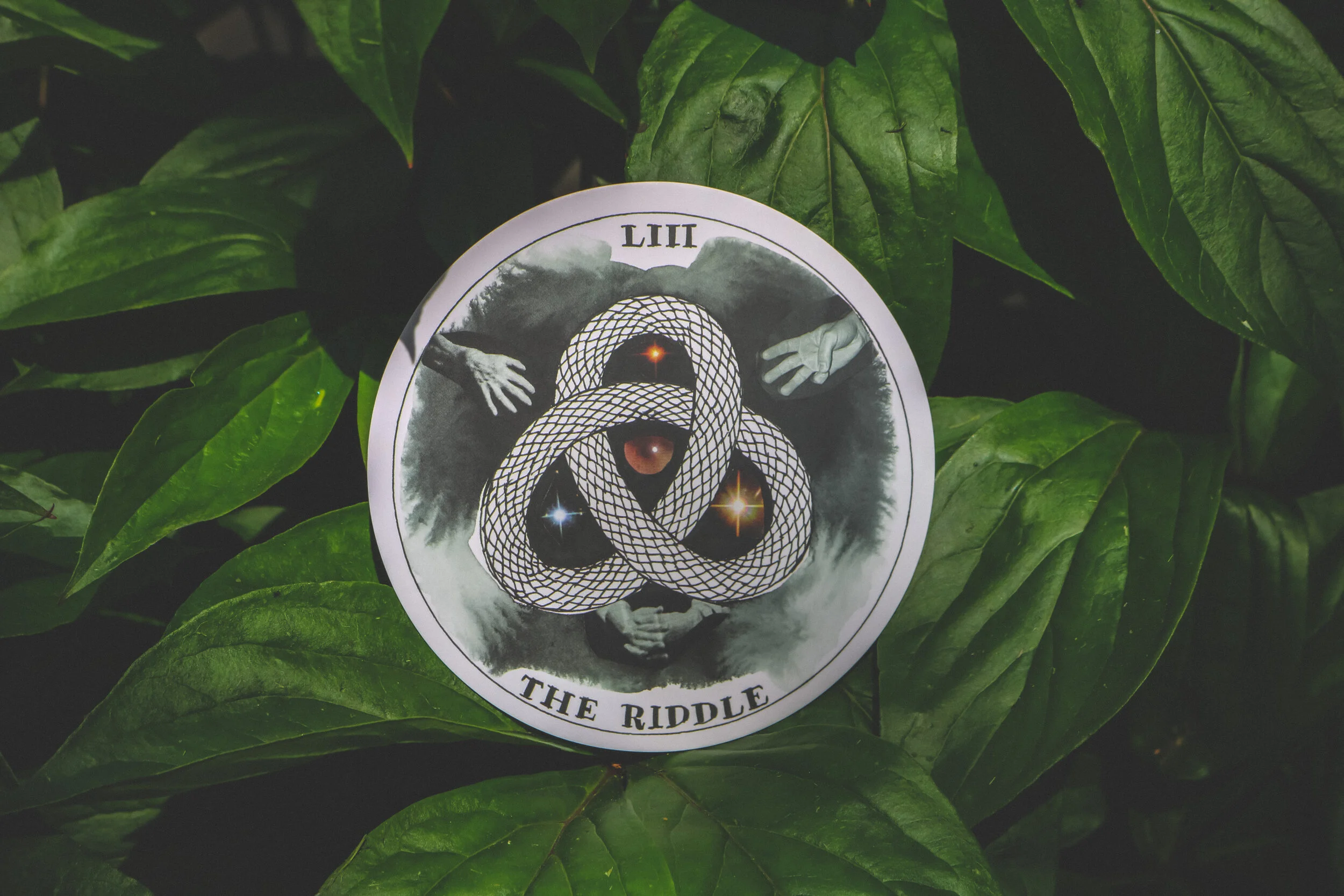 the riddle.JPG