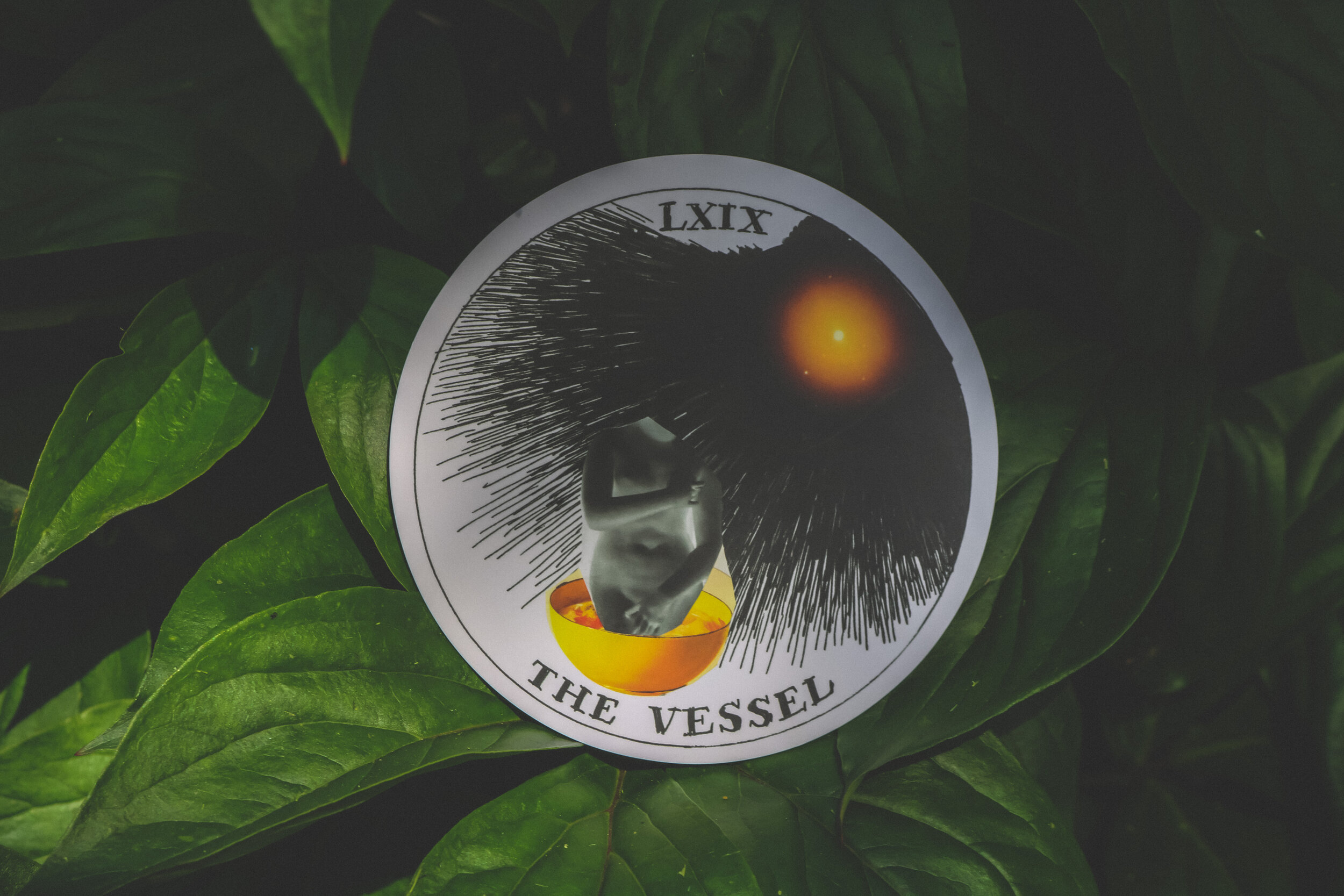 the vessel.JPG