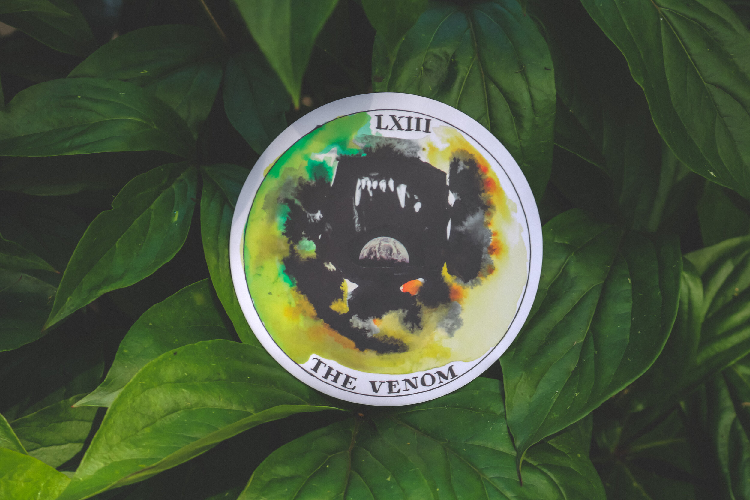 the venom.JPG