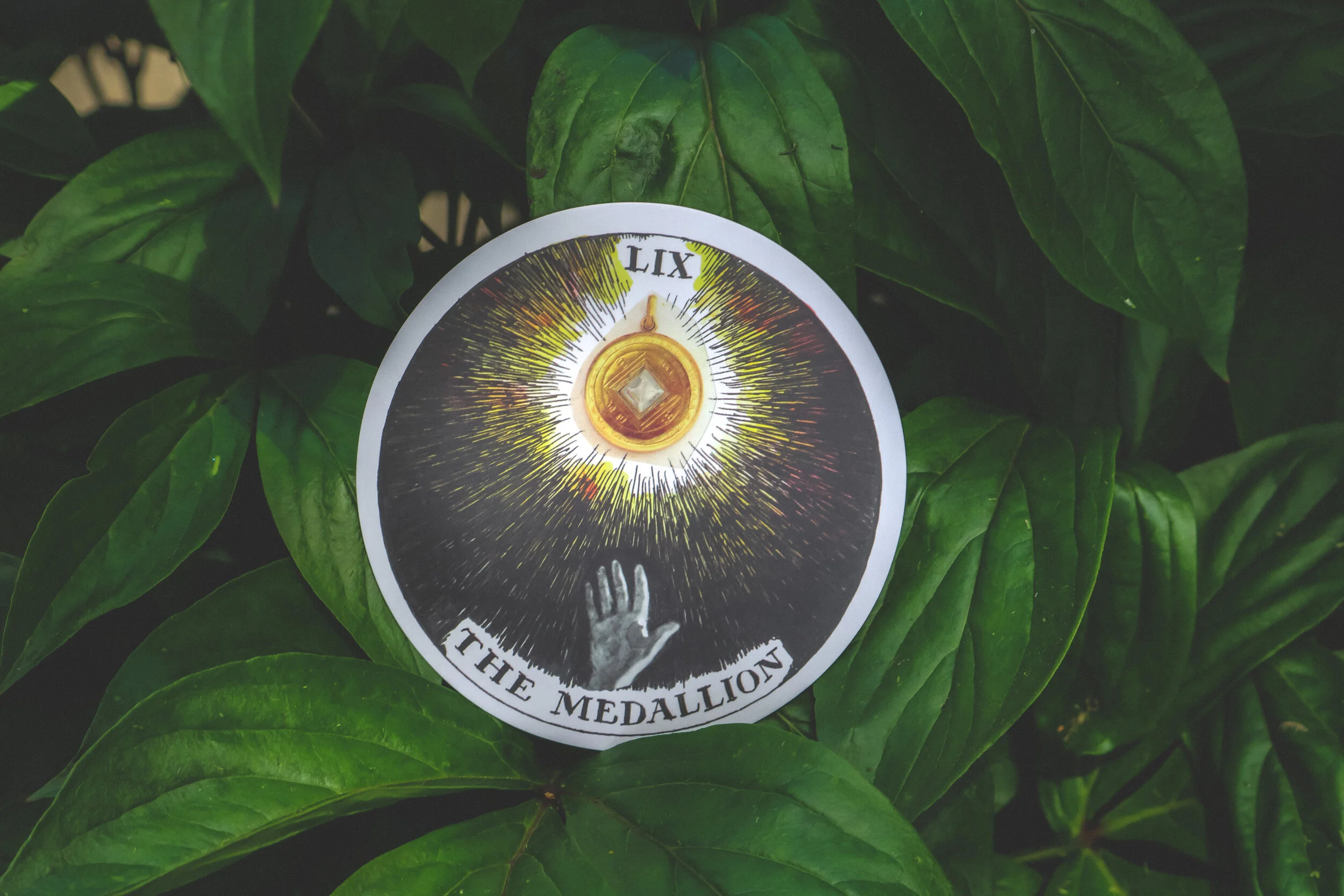 the medallion.JPG