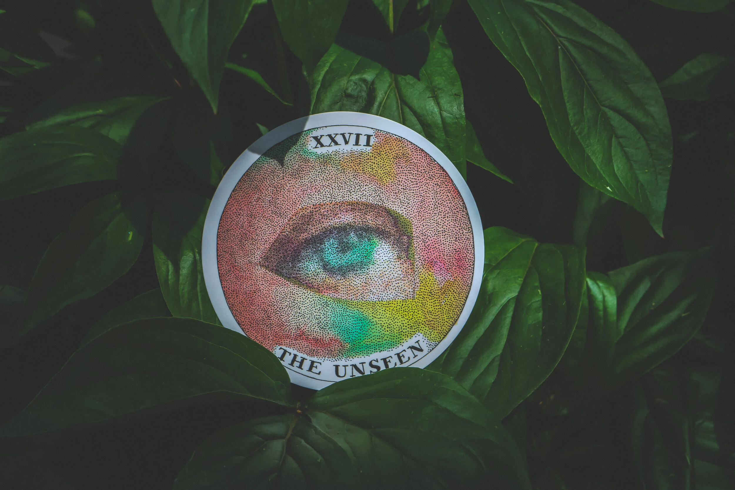 the unseen.JPG