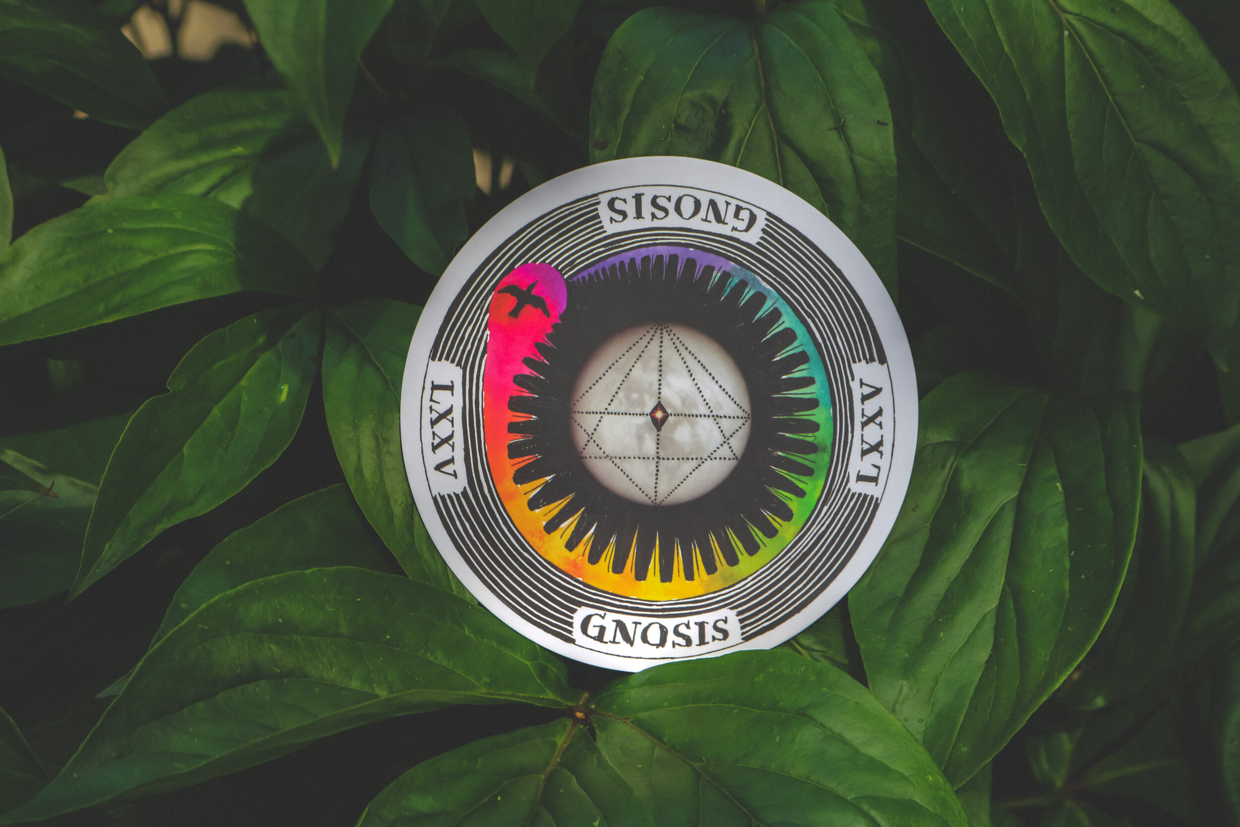 gnosis.JPG