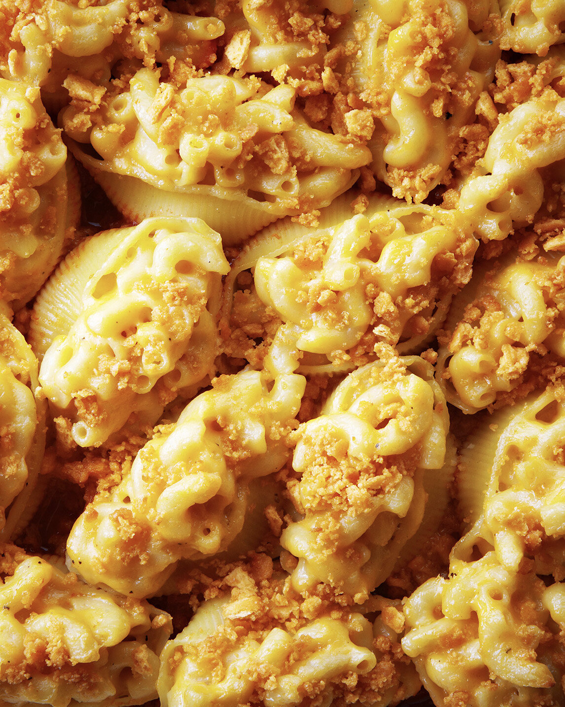 Macaroni and Cheese Stuffed Shells Recipe — Bite Me More