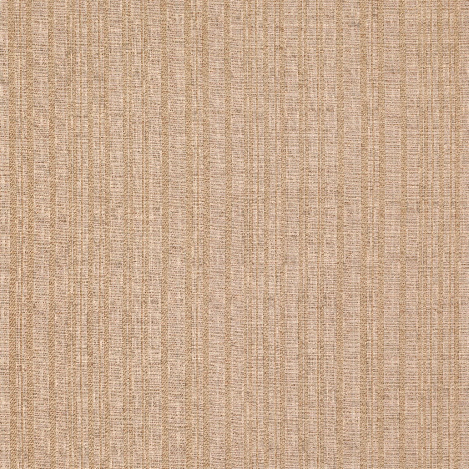TEM011 Putty.jpg