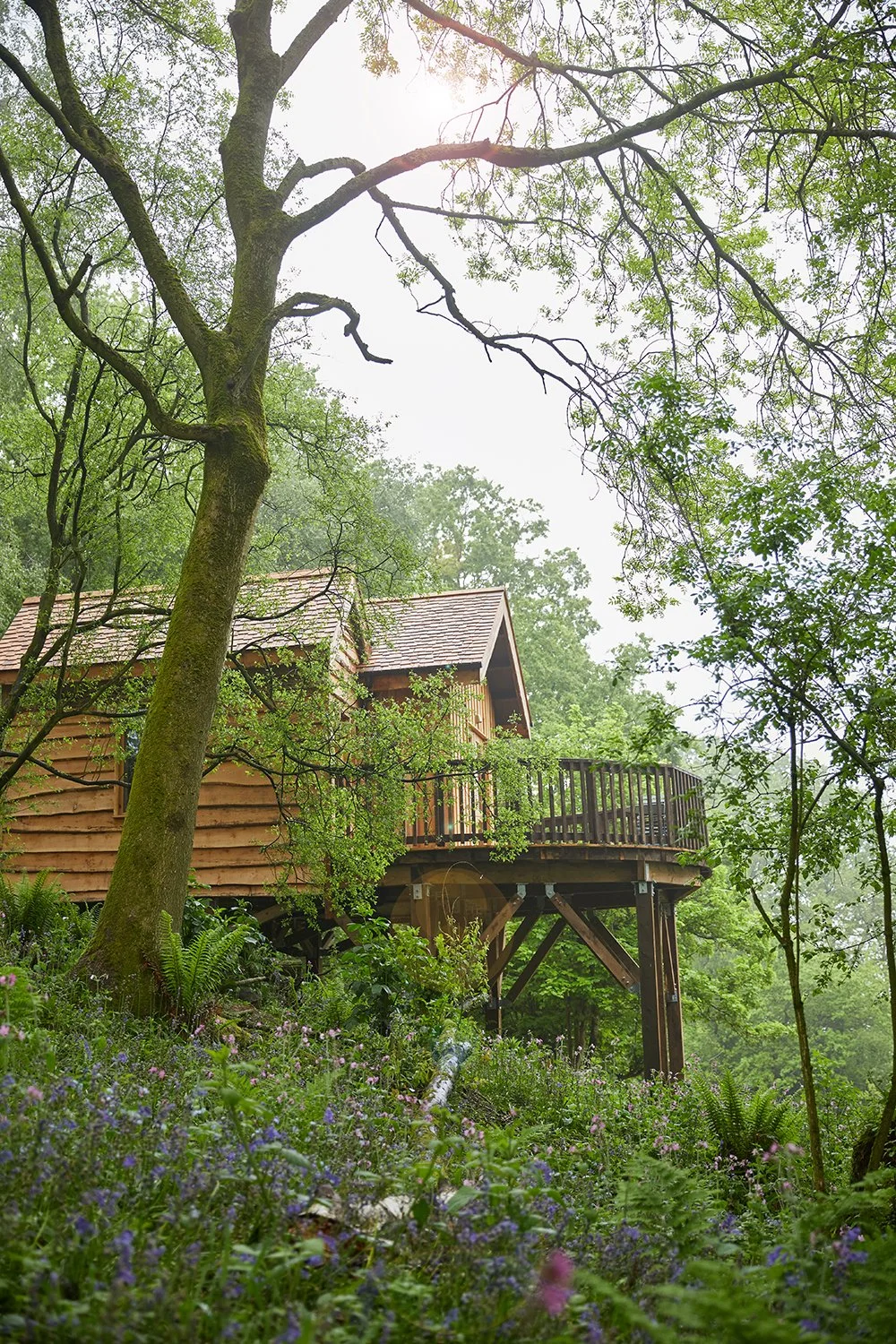 Wildhives at Callow Hall Hotel — Isabella Worsley | Commercial ...