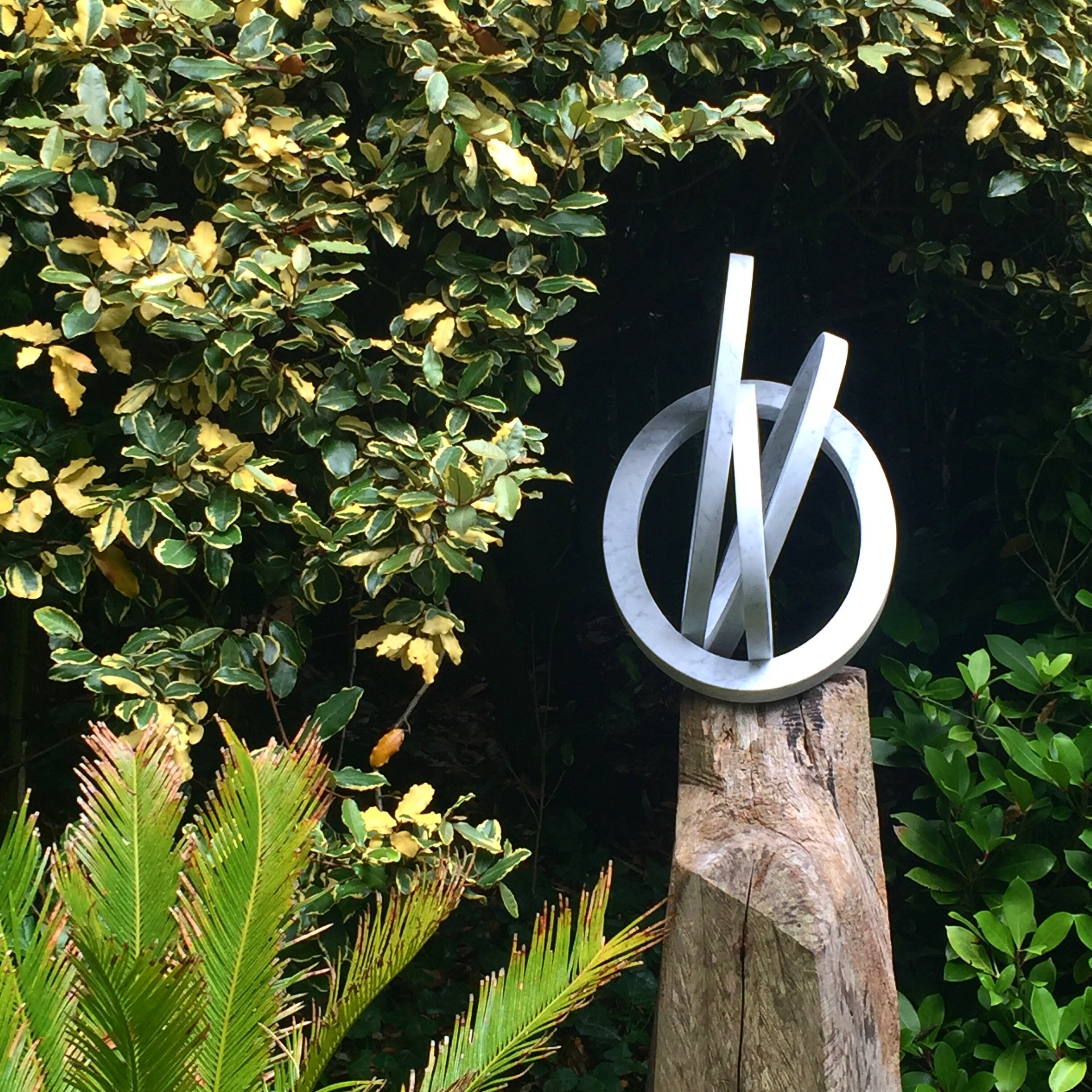Brancussi. Marble and maple