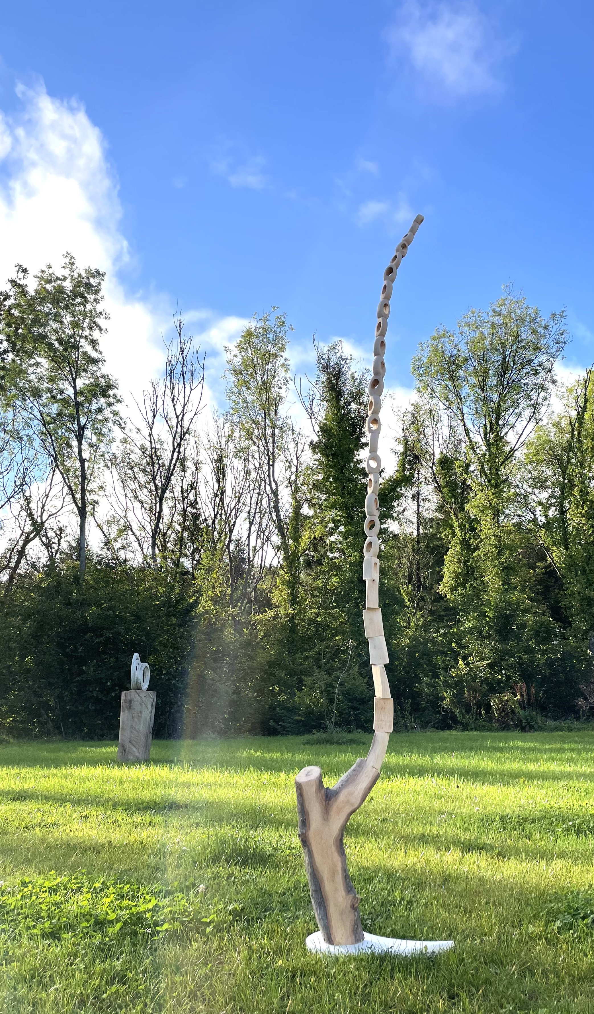 Branch,2021,Chestnut,200cm,£1500,stephanie carlton smith.jpeg