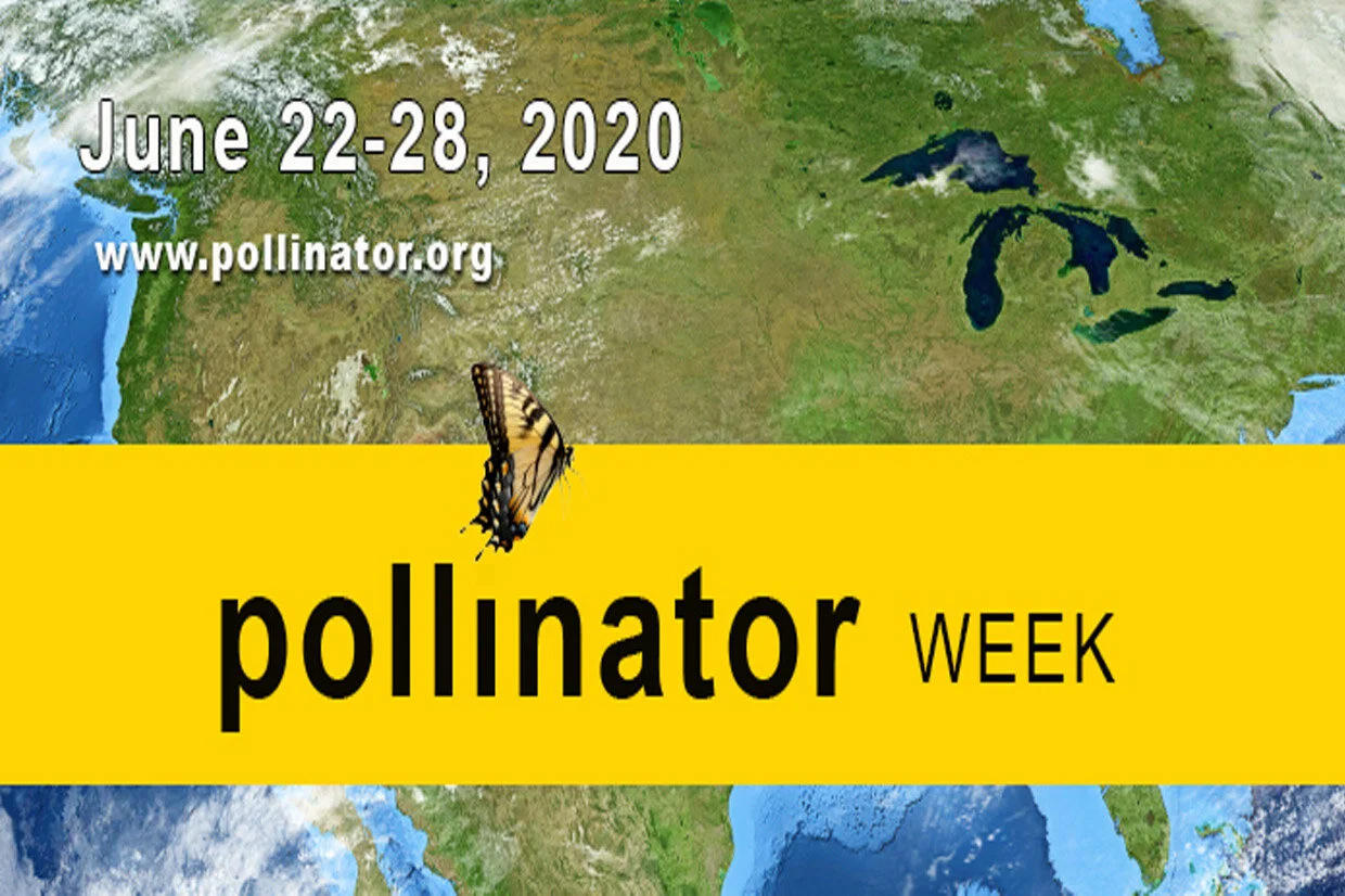 2020 Nat‘l Pollinator Week