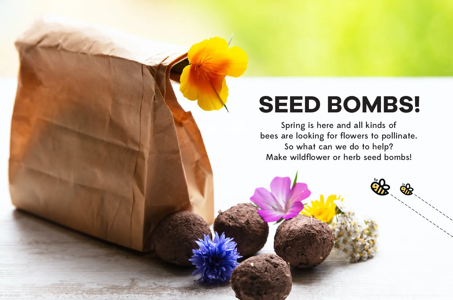 Let’s Make Seed Bombs!