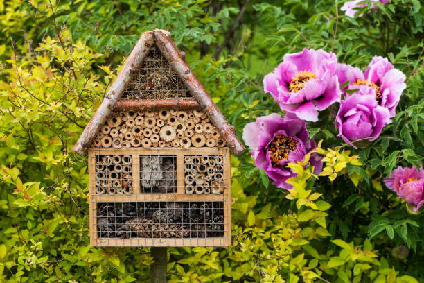 The Importance &amp; Benefits of Spring Gardening