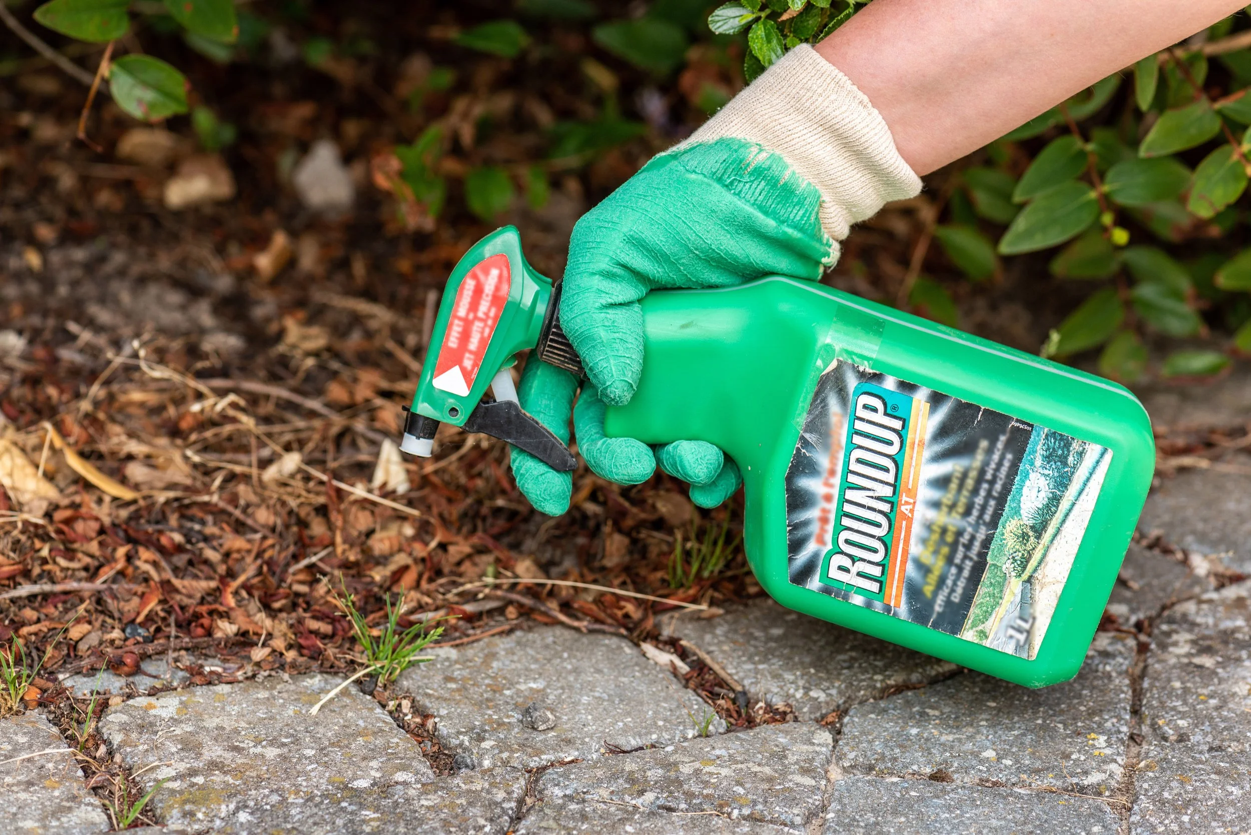 Understanding Negative Effects of Weed Killer