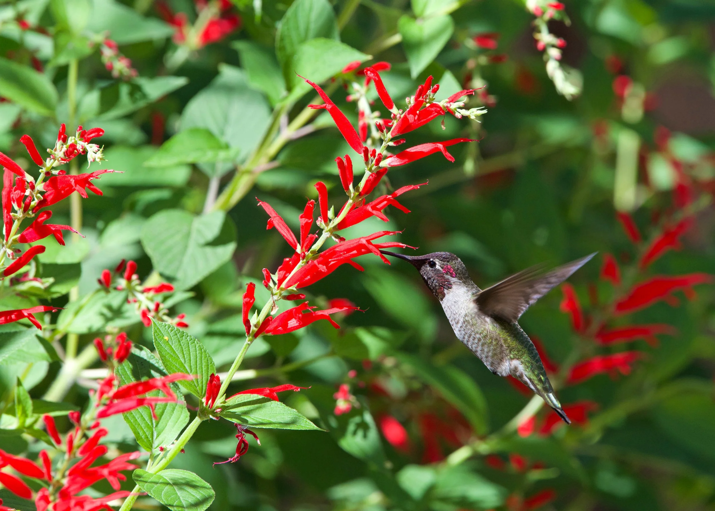AdobeStock_383184002.jpeg