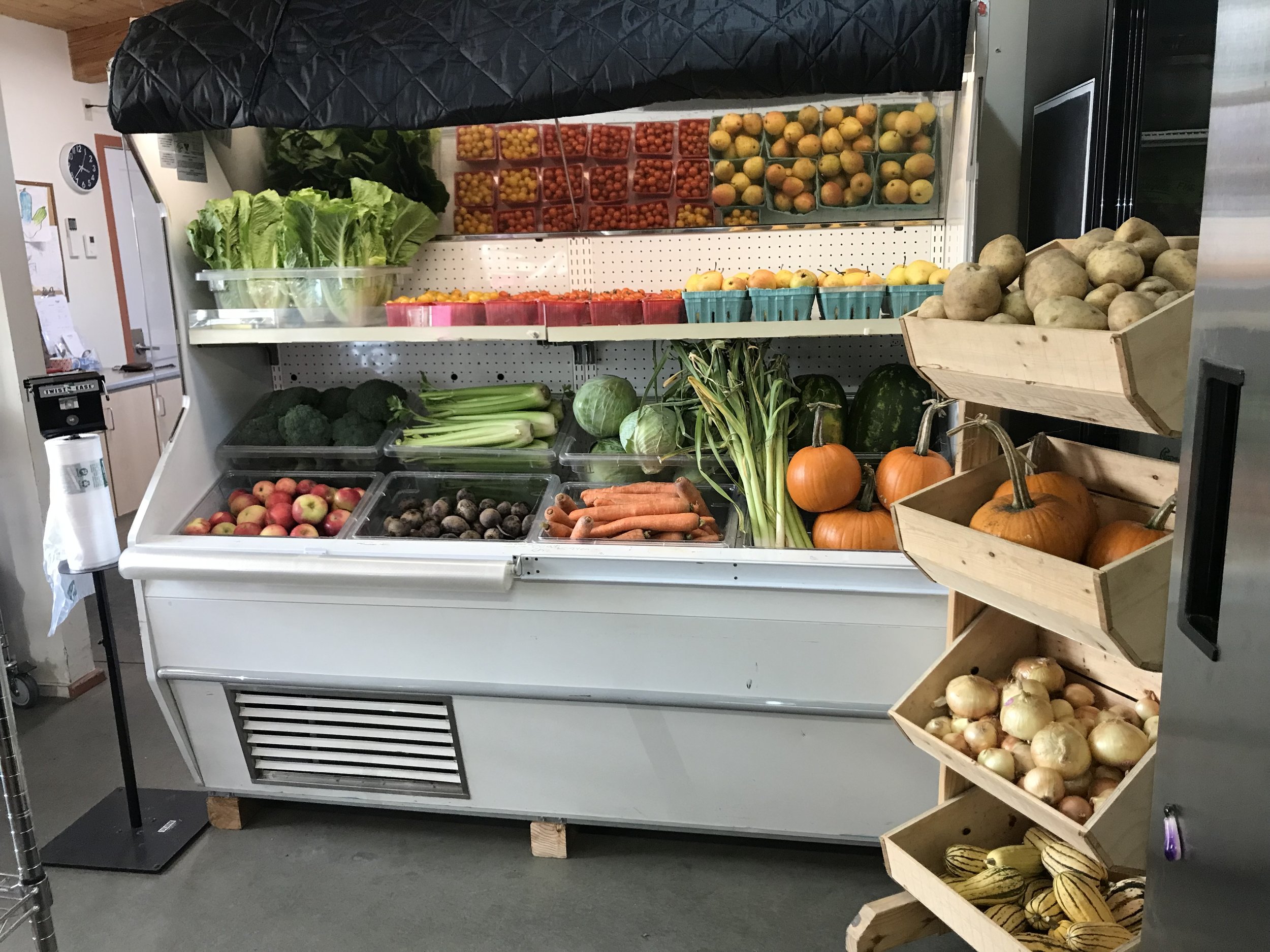 Summer Newsletter 2026 