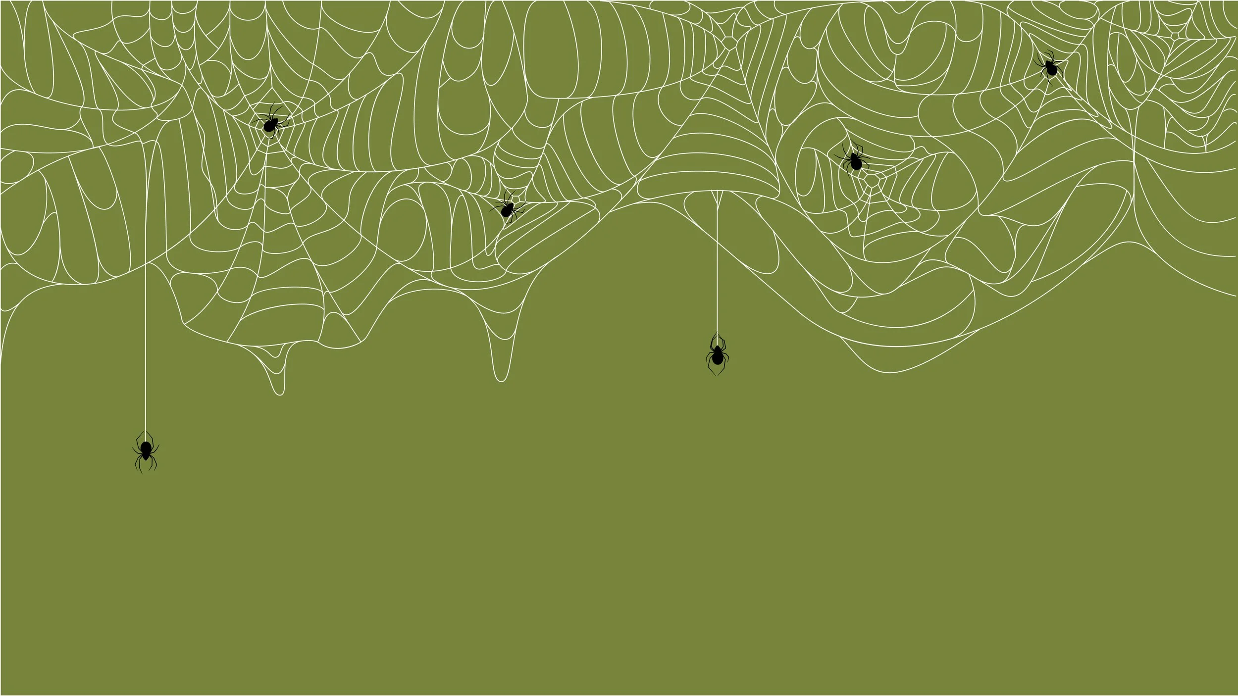 SPIDER WEBS TRENDING PATTERNS