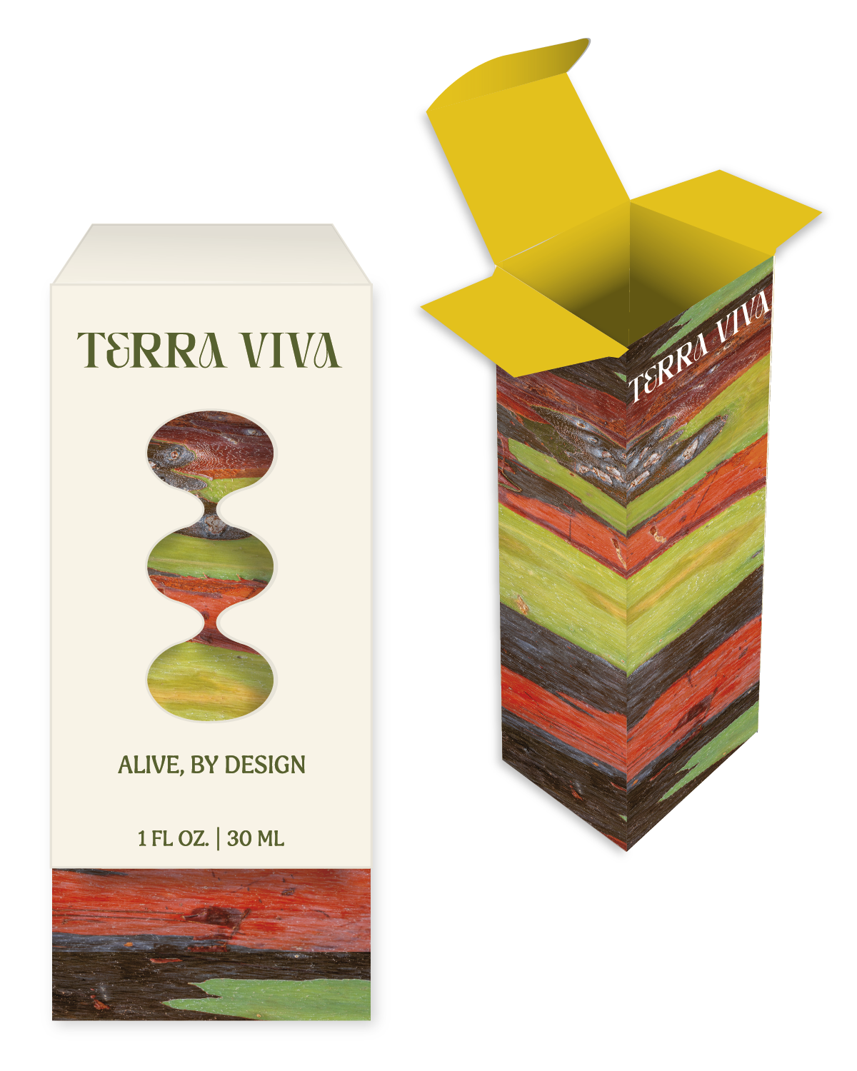 terra viva renderings-07.png