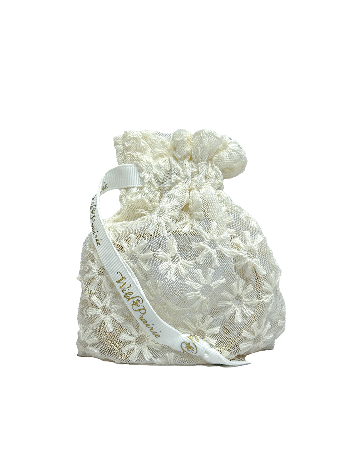 NO BG SS226 LACE POUCH.png
