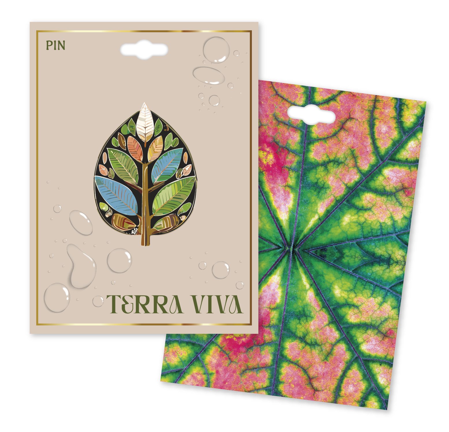 terra viva renderings-02.png