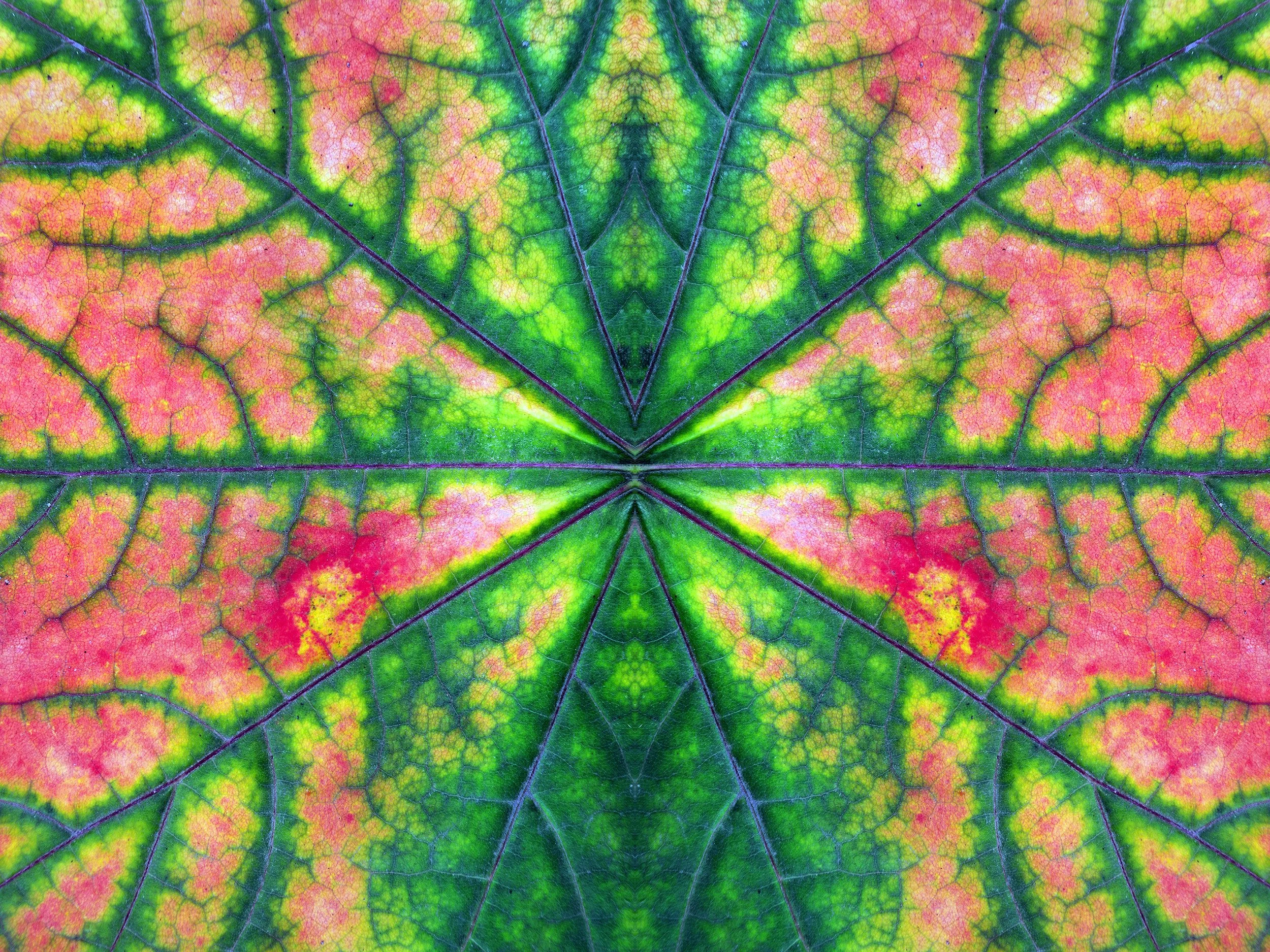plant life patterns spring summer 2027 trend designs