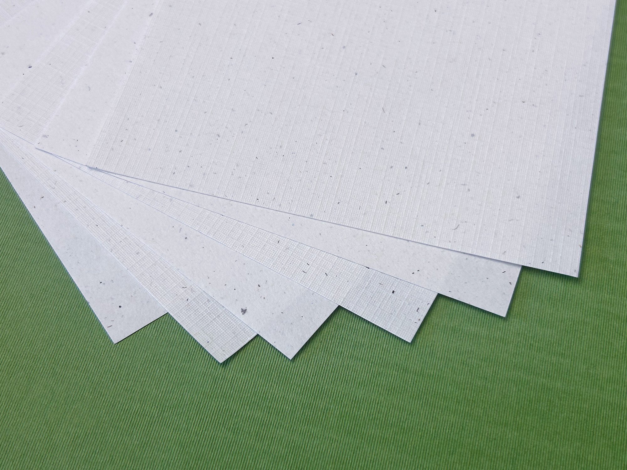 hemp_blog pic4.jpg