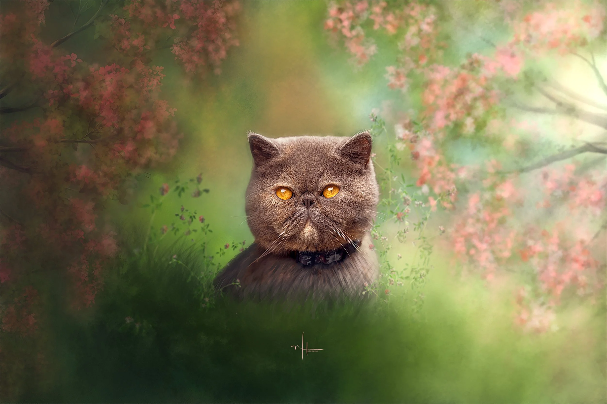 A brown cat with piercing yellow eyes sitting outdoors in front of a blurred background of flowering trees and greenery.
