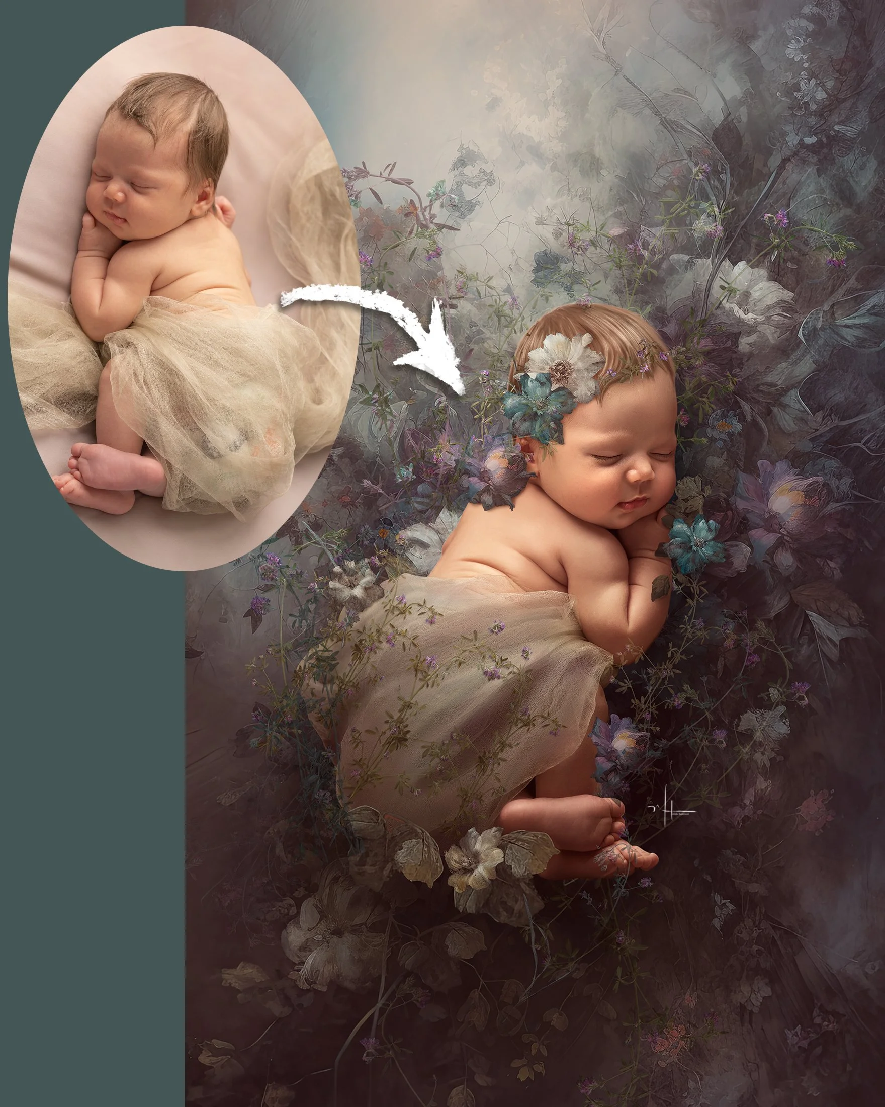 NewBorn Fine Art Course (Download)