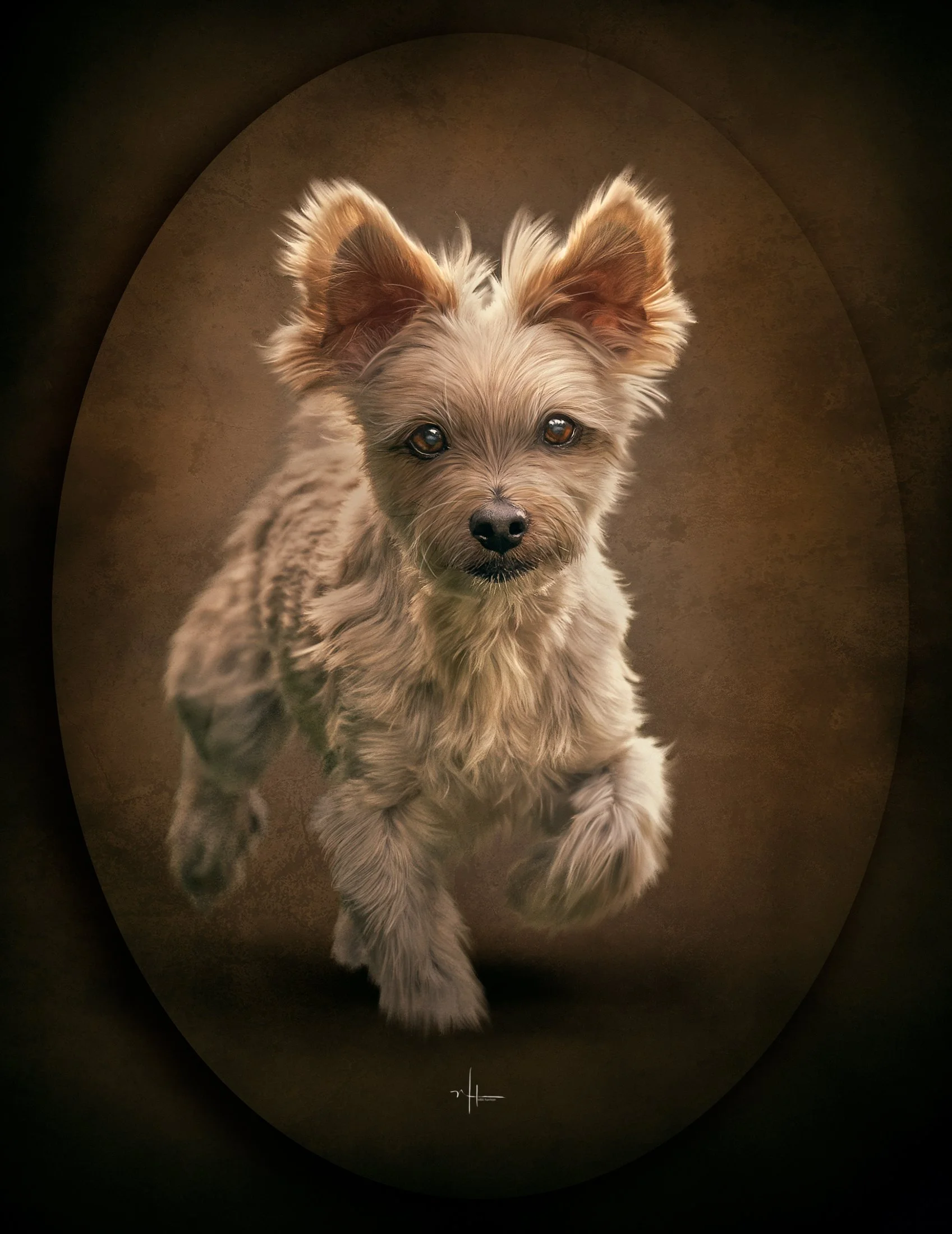 Classic Fine Art Pet Portrait