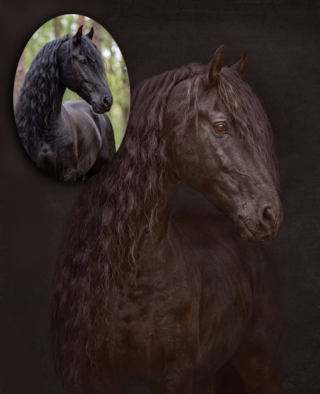 equinw-ba.jpg