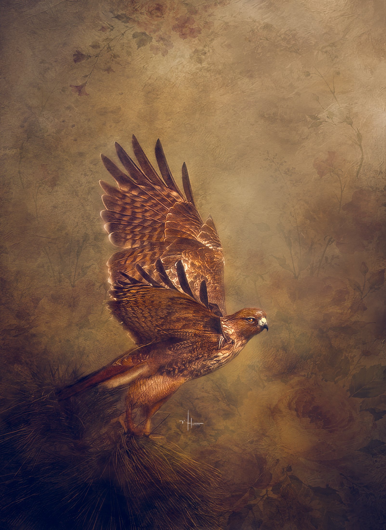 nh-hawk-1sm.jpg