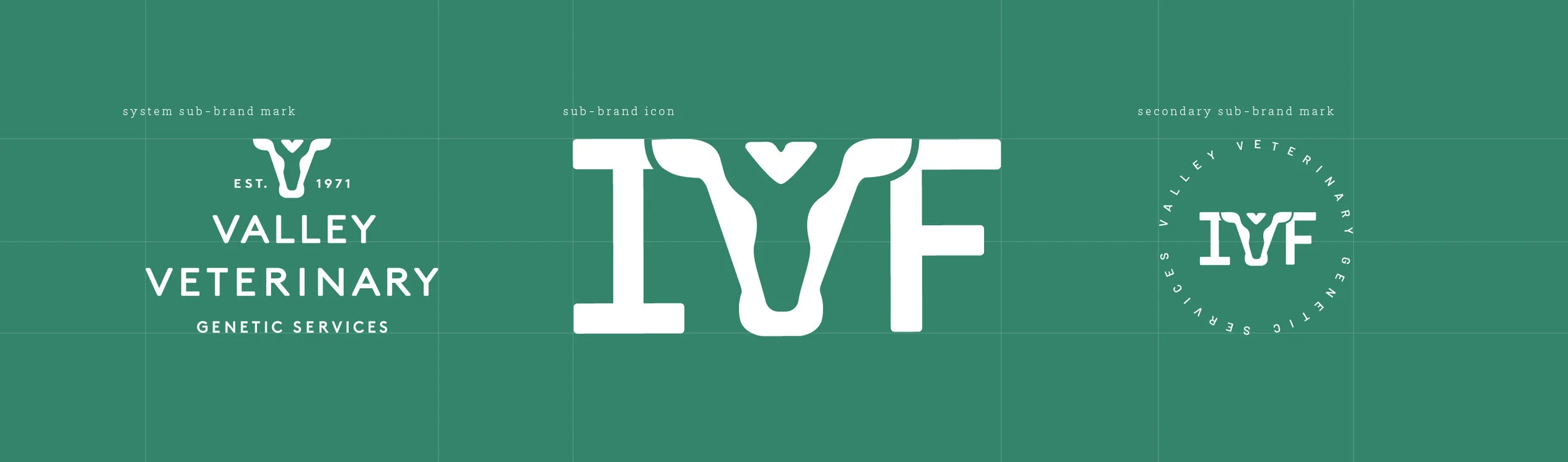 veterinary-clinic-brand-architecture-2.jpg