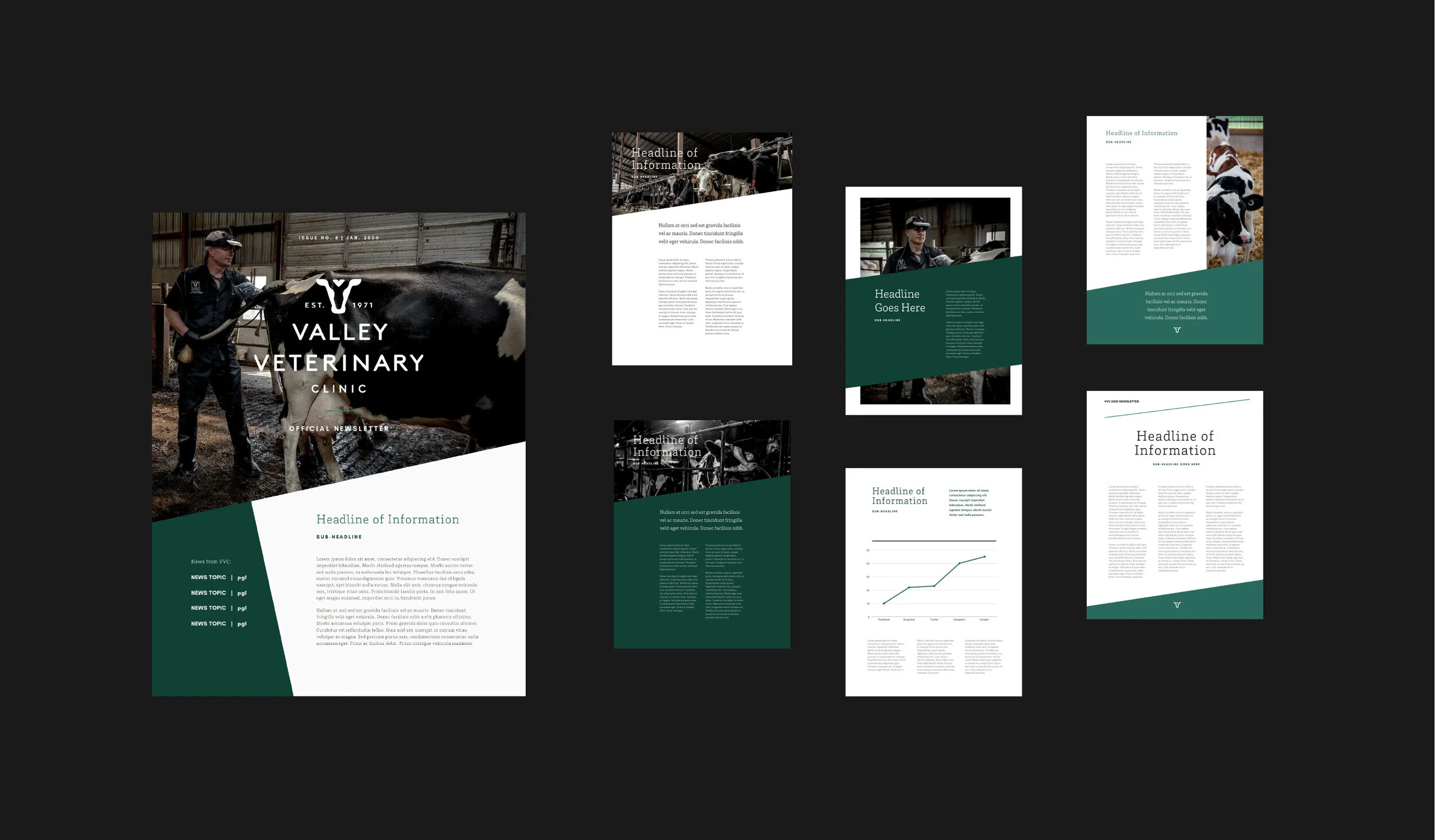 veterinary-clinic-canva-newsletter-design.jpg