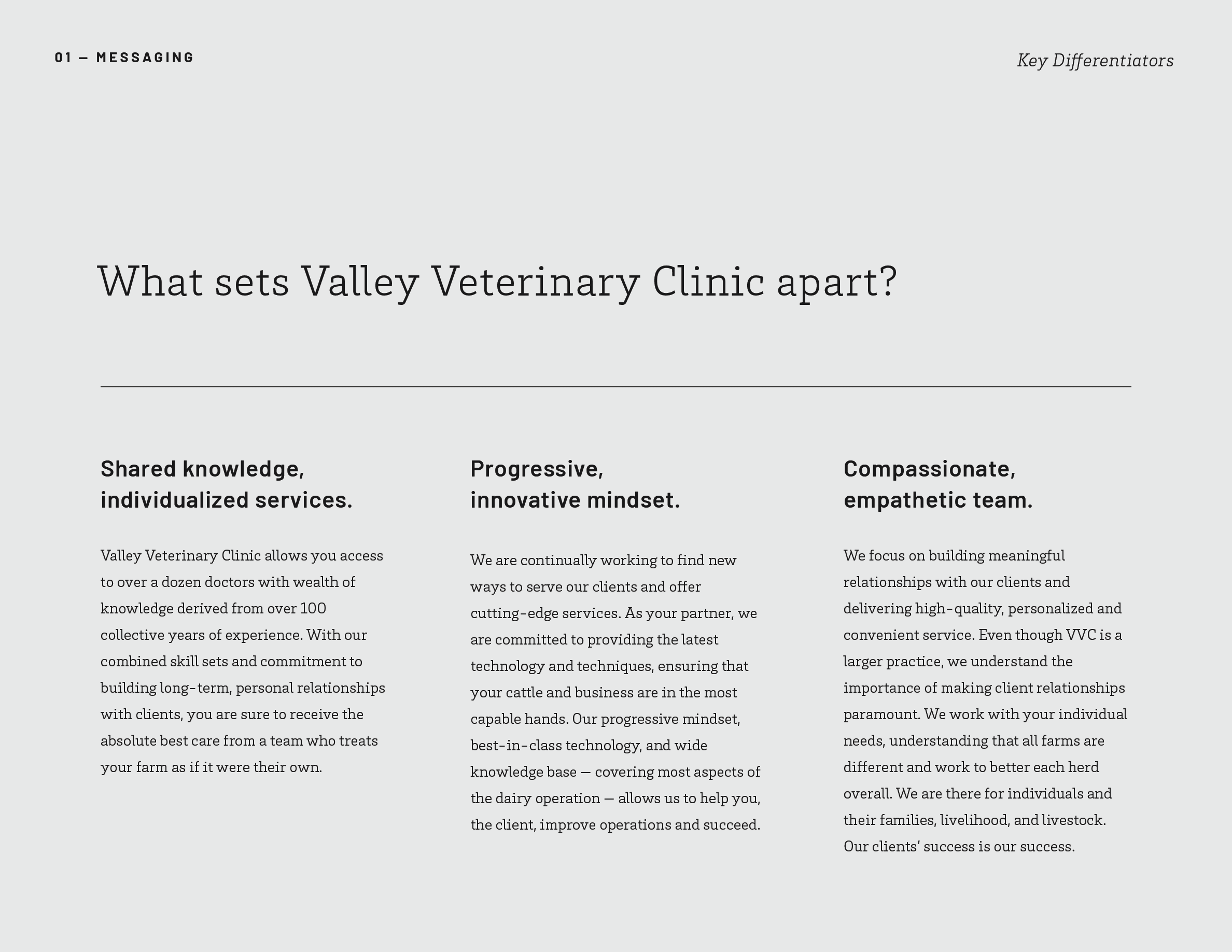 veterinary-clinic-brand-strategy-messaging-3.png