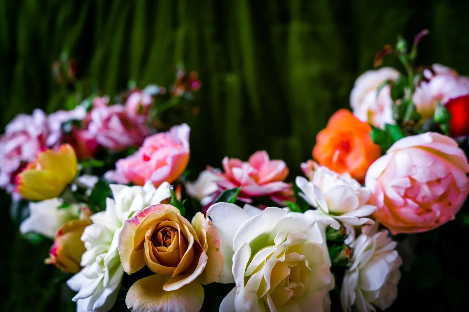 A colorful bouquet of various roses in shades of pink, peach, white, orange, and red against a dark green, blurred background.
