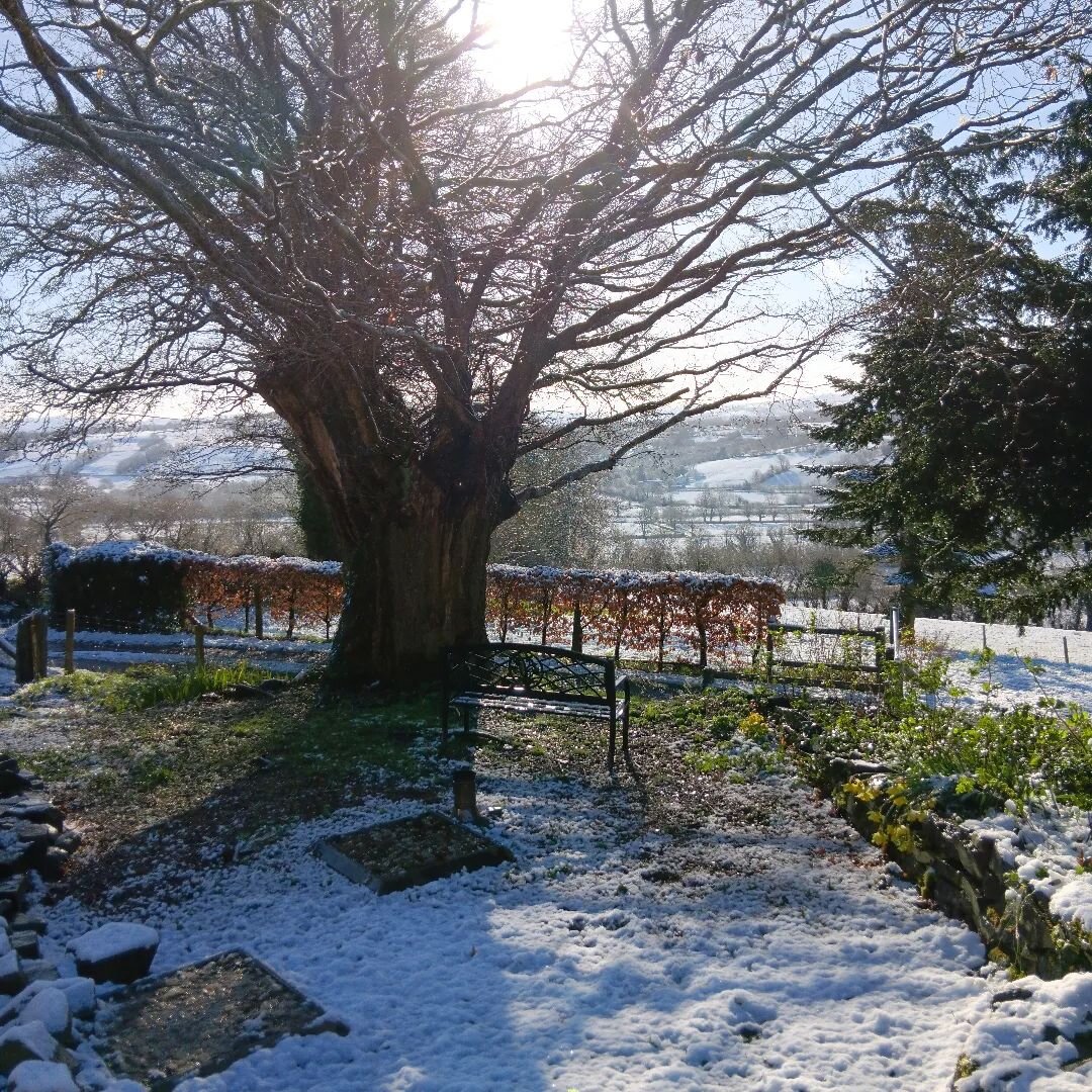 Woke up to a beautiful sunny snowy morning today. Was going into the workshop but I've just been told our electricity will be going off for most of the day. I think I'll just have to go out and enjoy the sunshine! 😅 #ceredigion #sunnywales #sunandsn