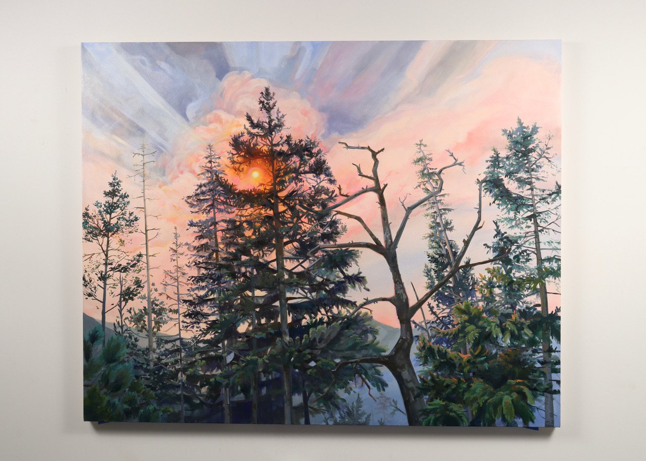Trees With Sun Spot_install1.jpeg