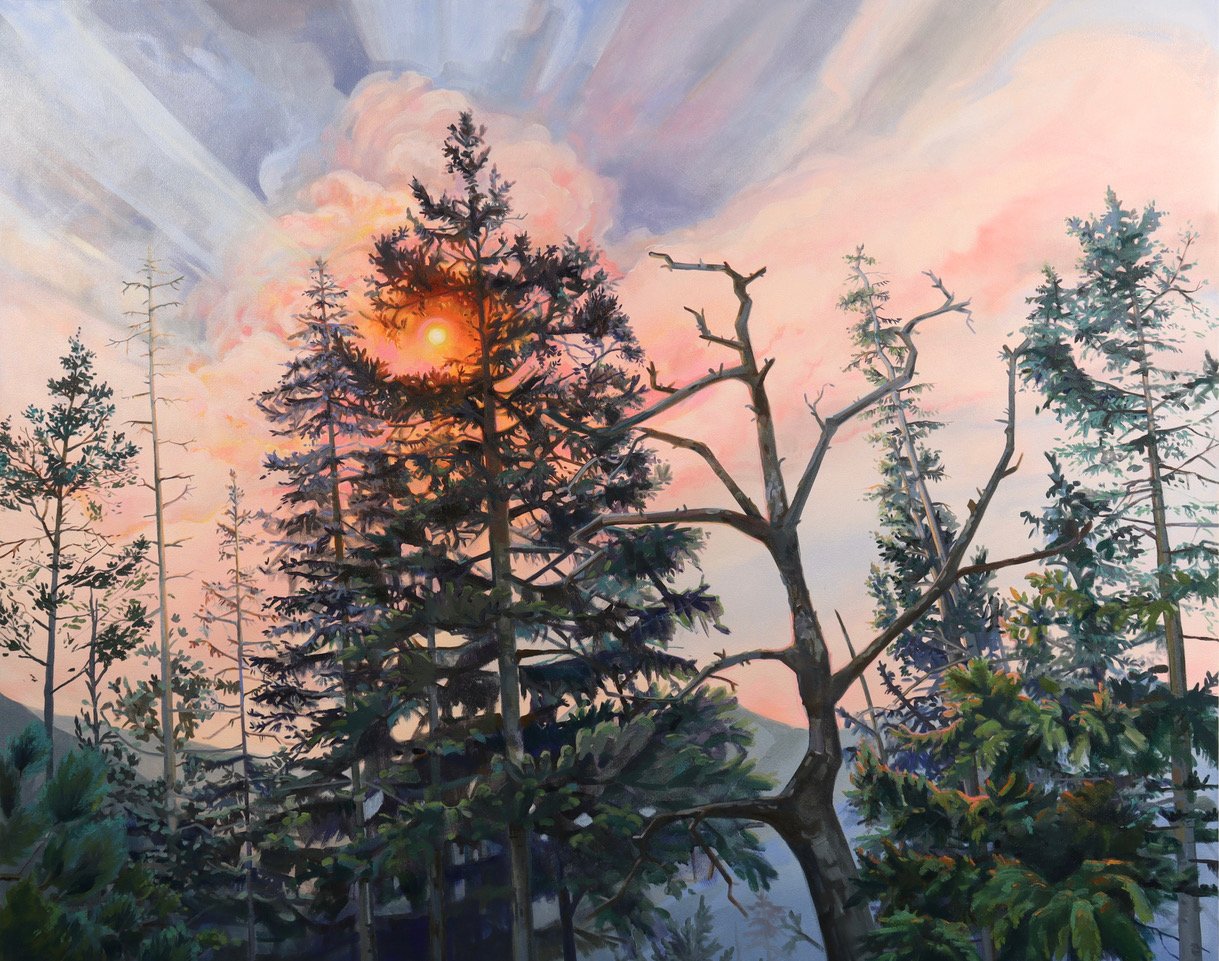 Trees With Sun Spot, 2023, oil on canvas, 48 x 60 inches.jpeg