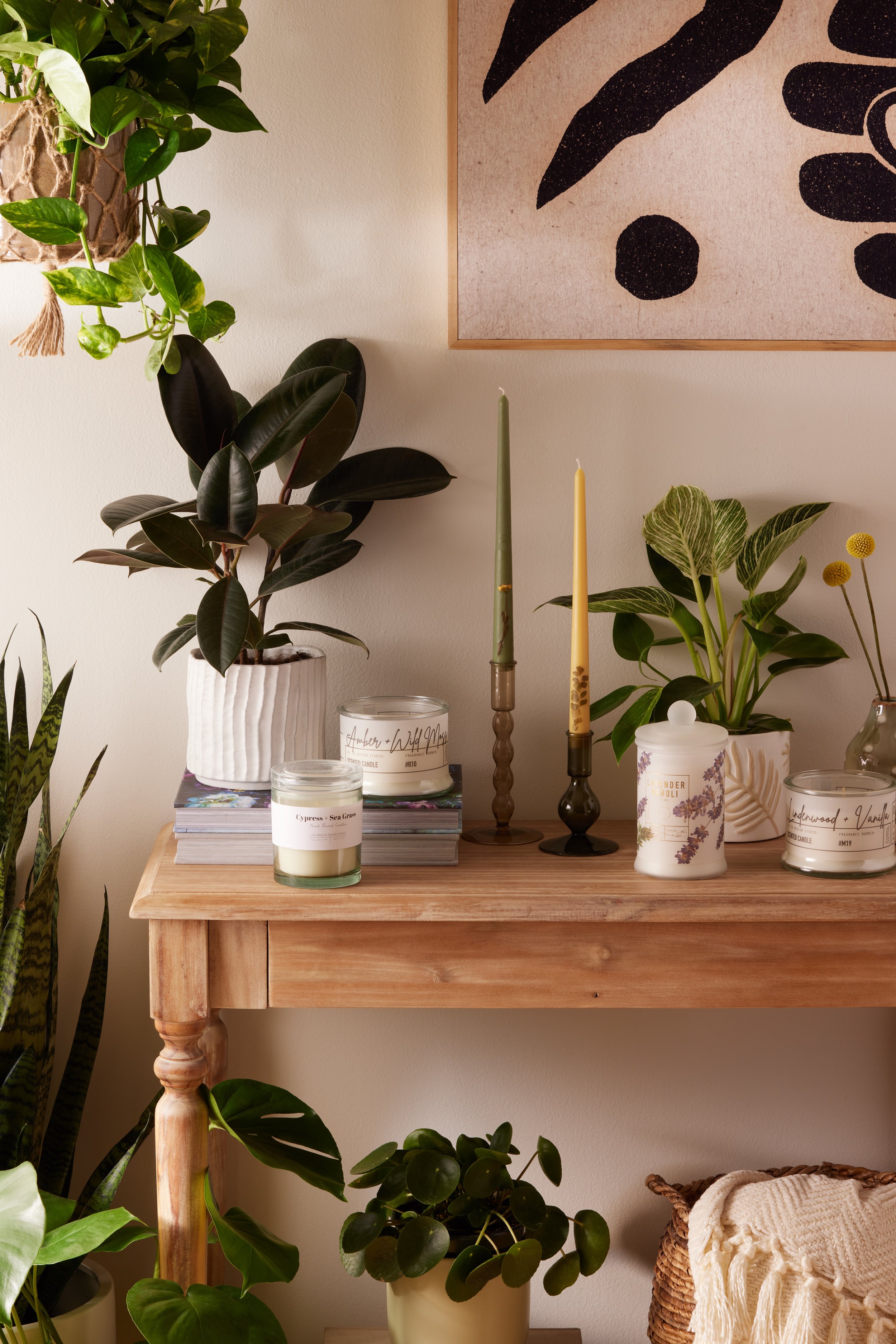 Plant_Therapy_Fragrance_Collection_4x5_1x1_GIF_HERO_1.jpeg