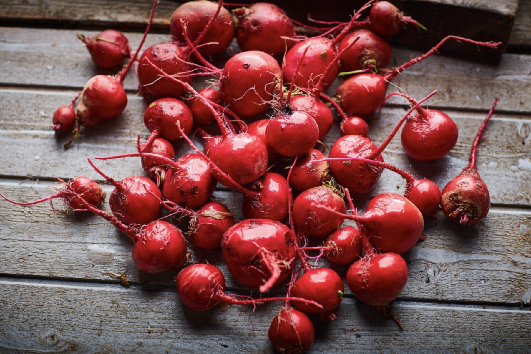 Screen Shot 2022-03-24 at 11.29.55 AM.png