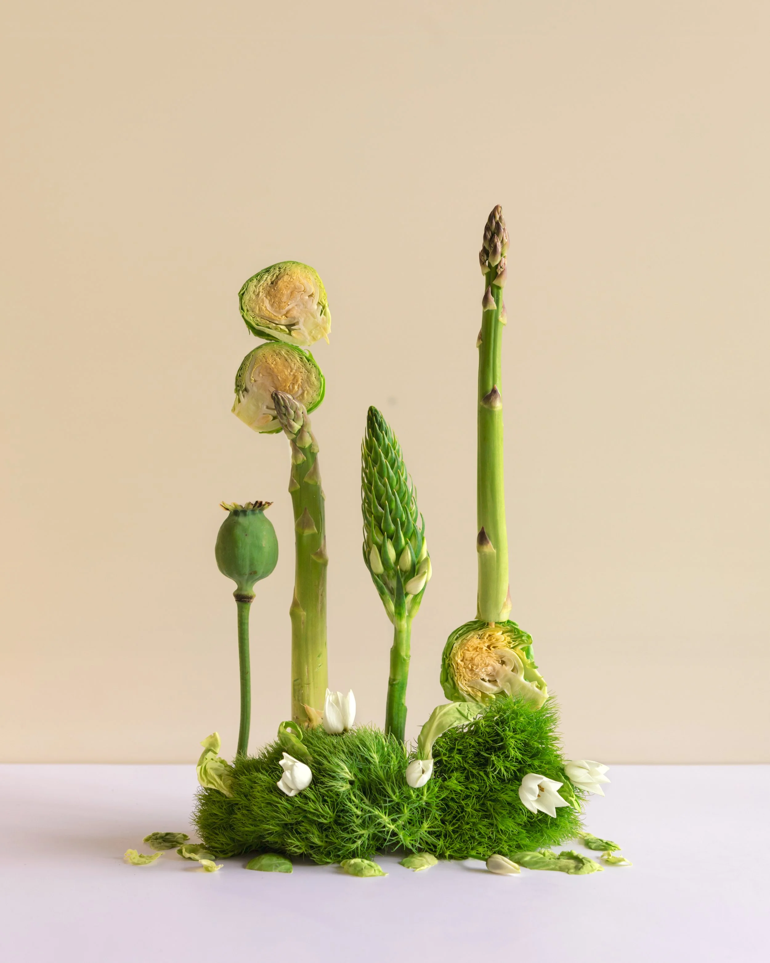 Tabletop & Product