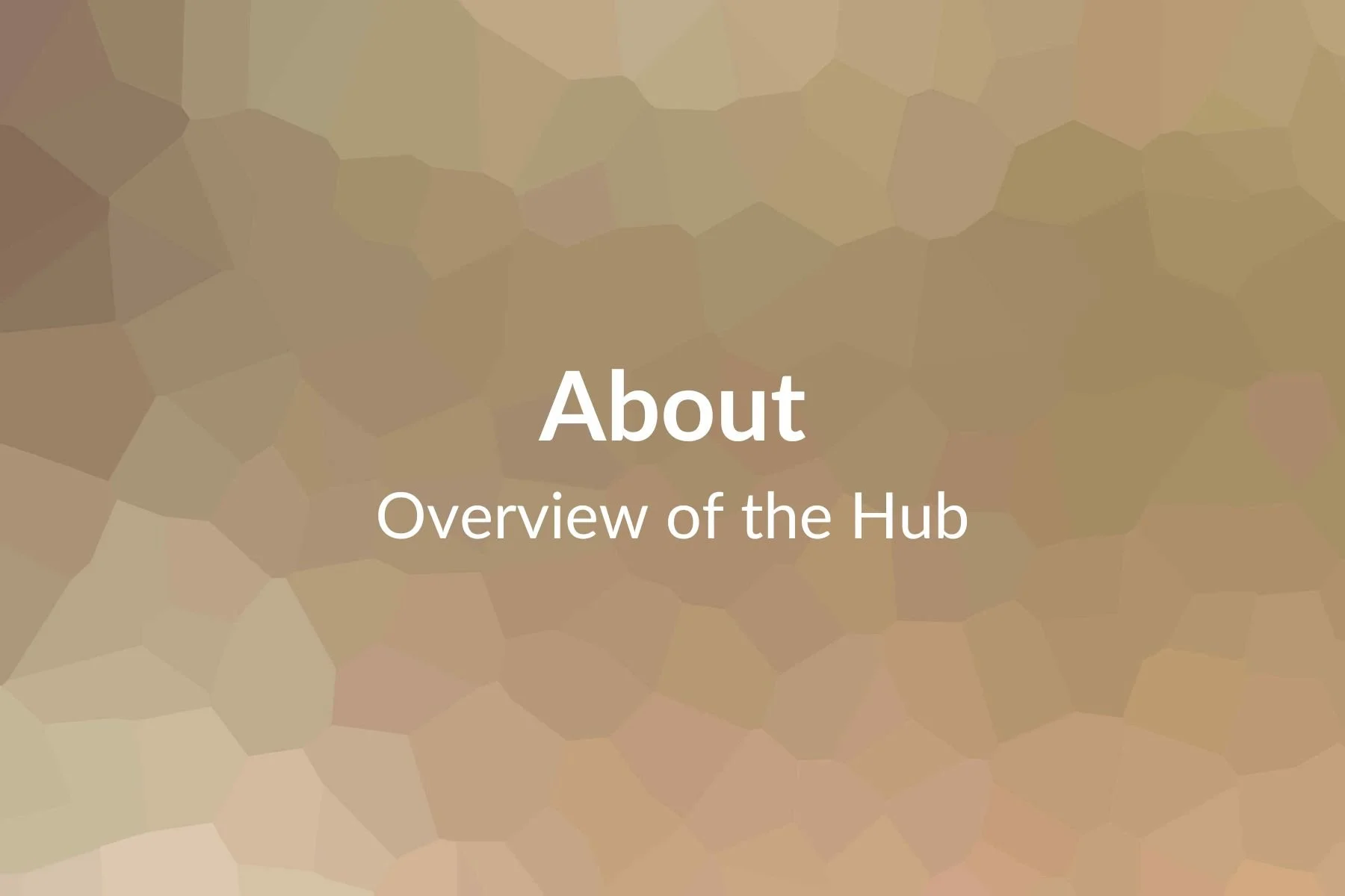 About - Overview of the Hub