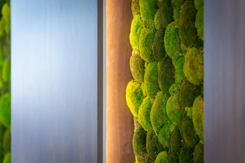 Biophilic Office Design: 5 Benefits of Nature-Inspired Workspaces ...