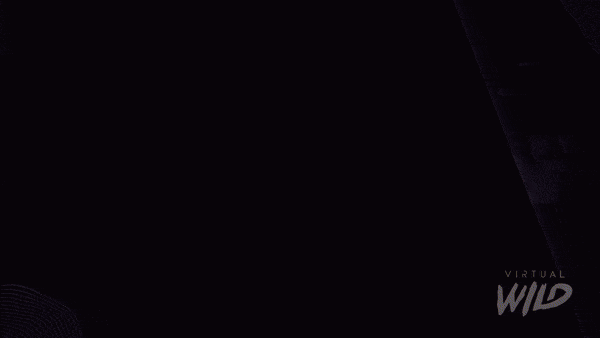 LeidosDHITShologram.gif